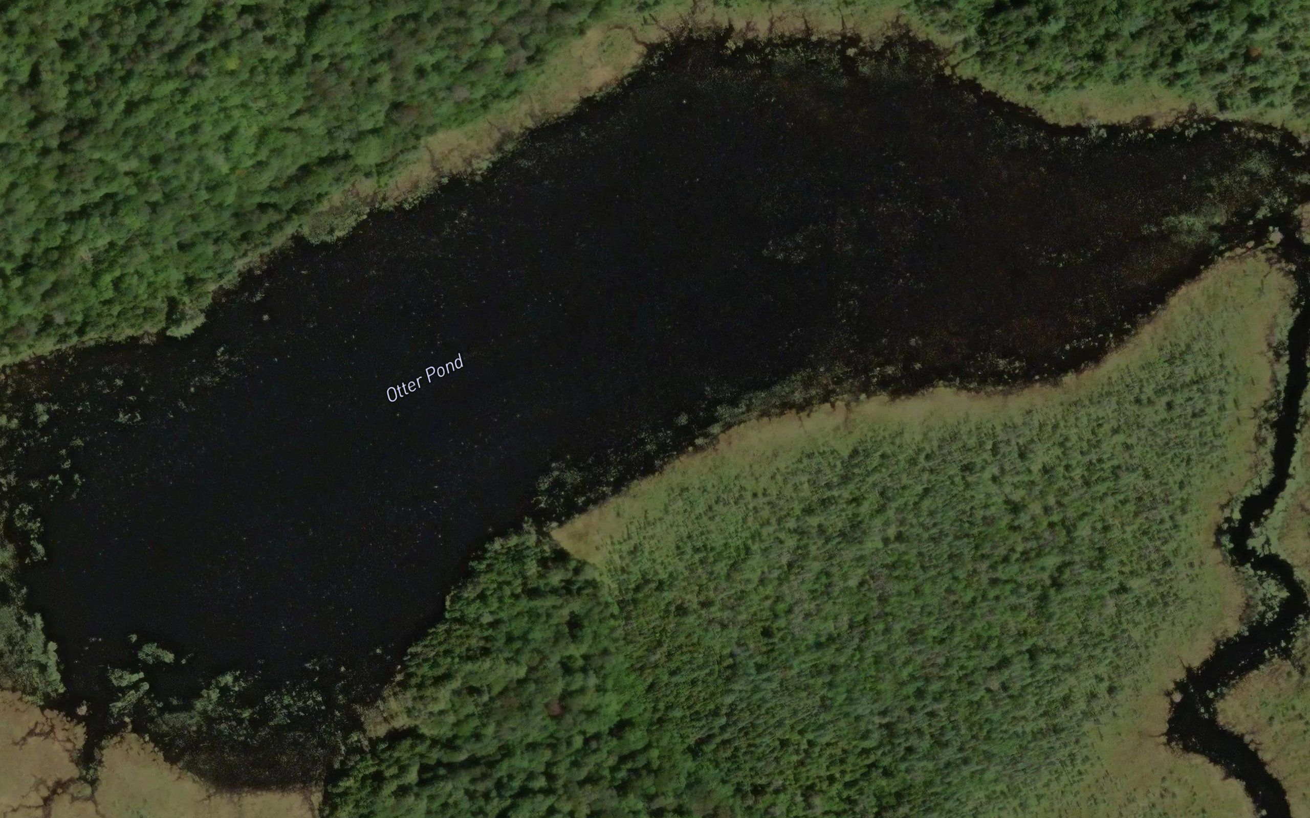 Otter Pond