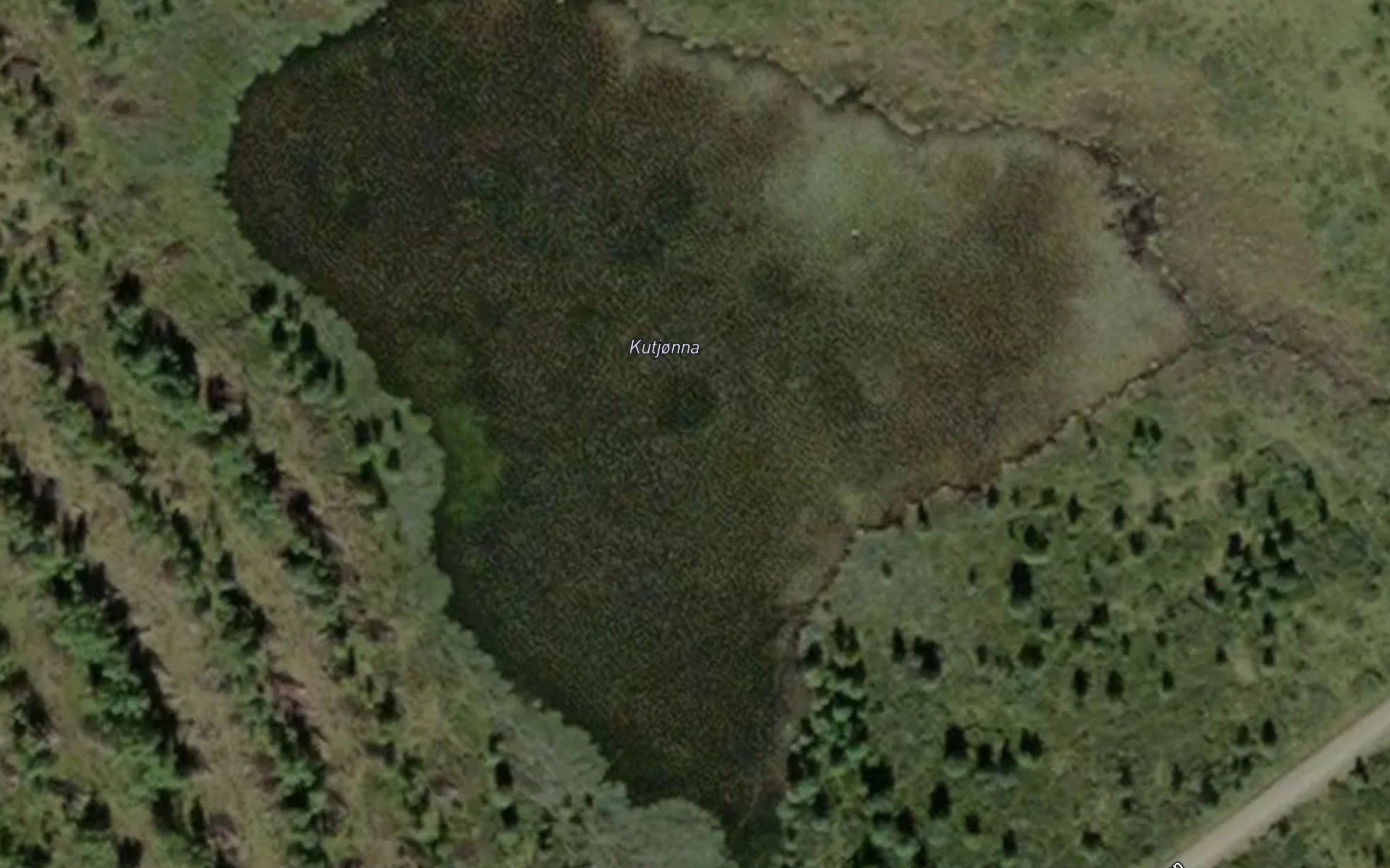 Kutjonna