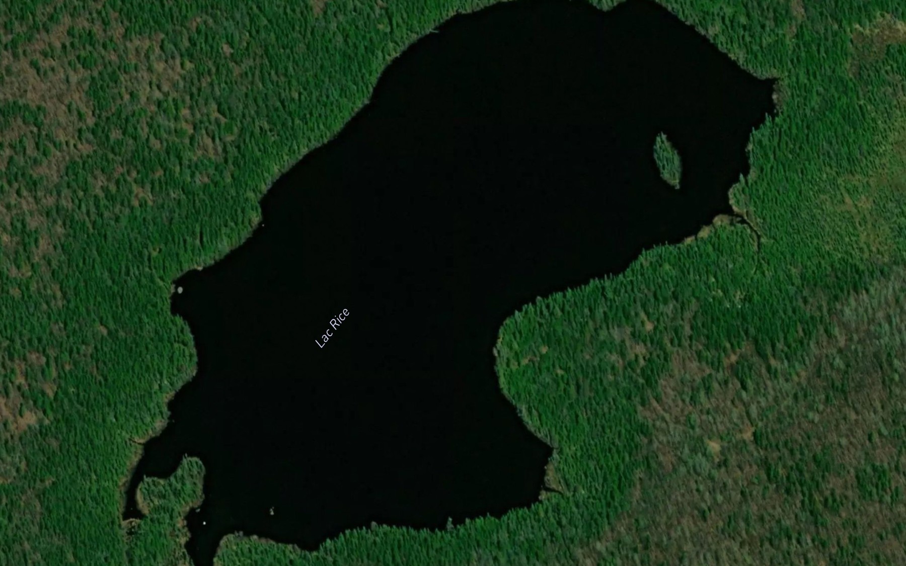 Satellite map of the Lac Rice