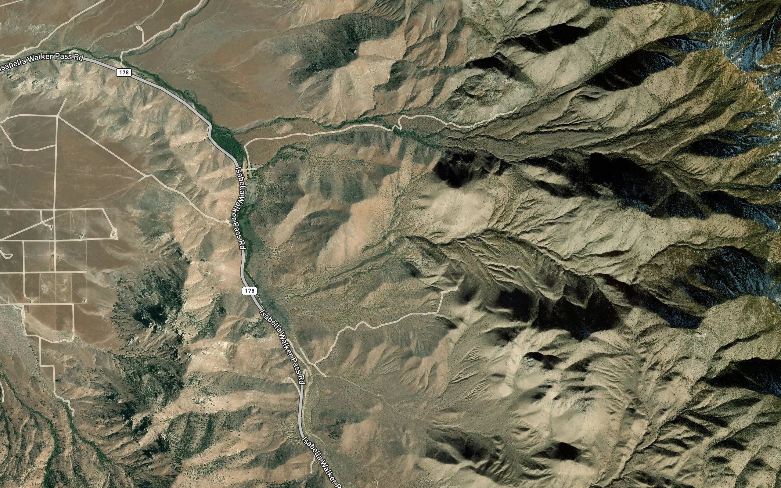 Coyote Spring