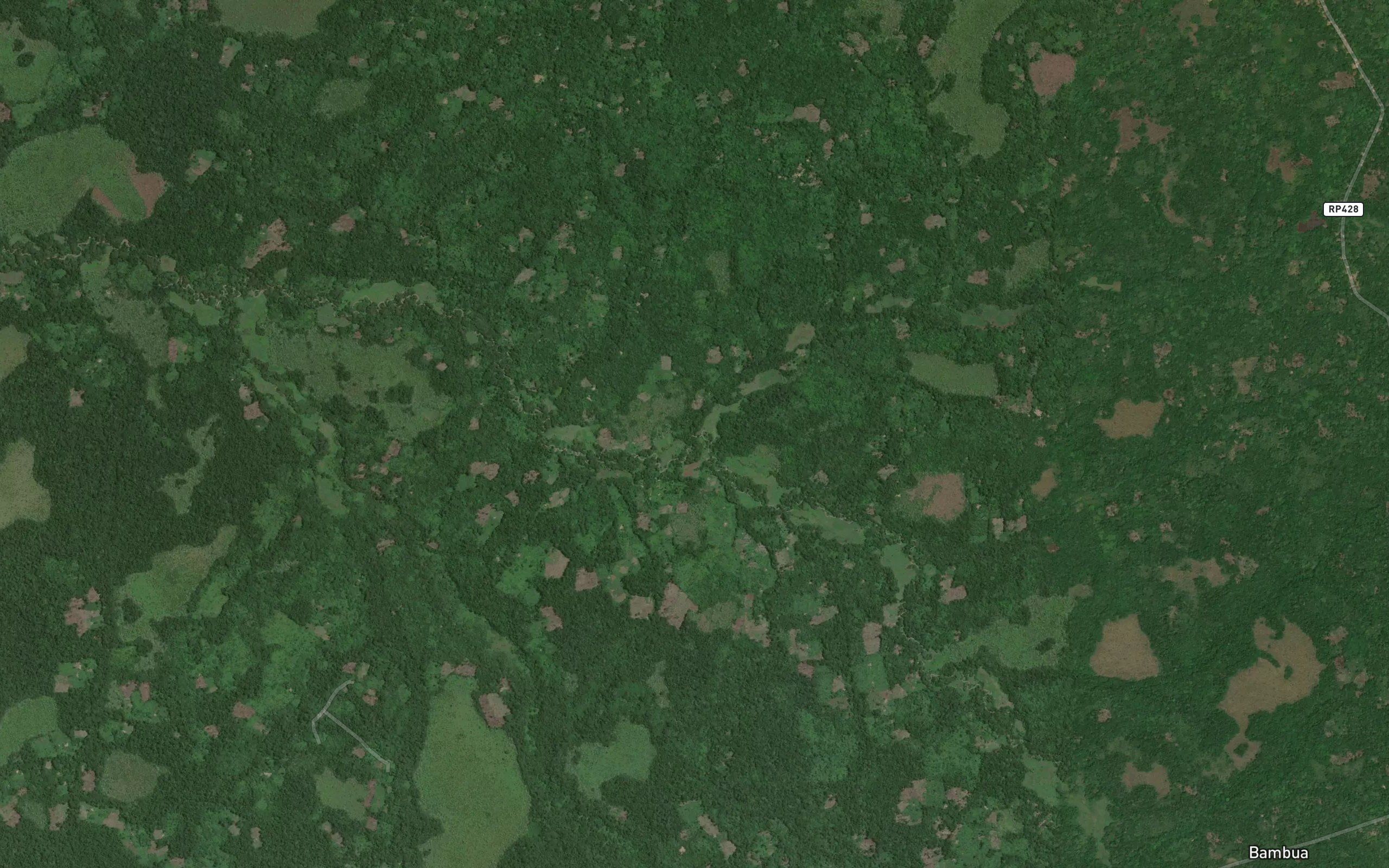 Pupuru