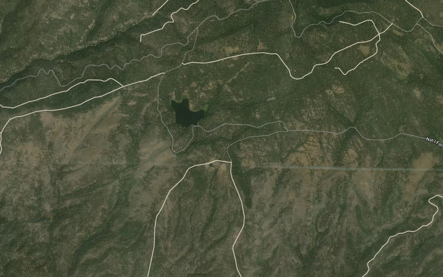 Satellite map of the Fir Tree Spring