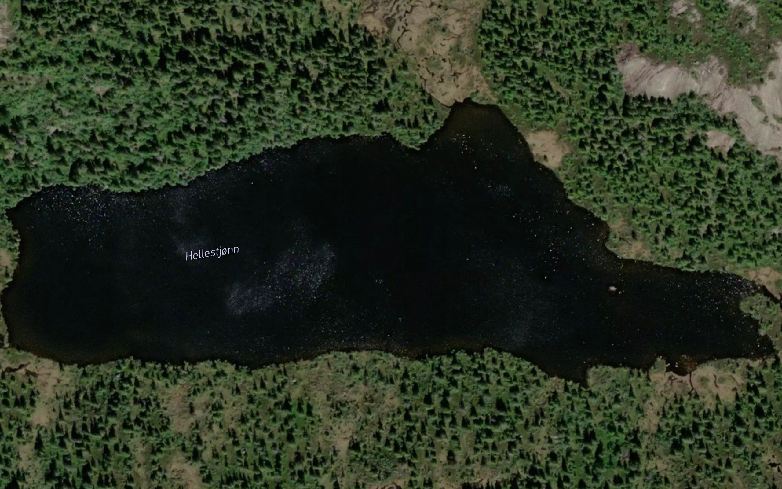 Hellestjorni