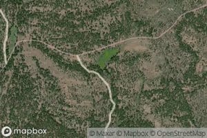 Wild Pond