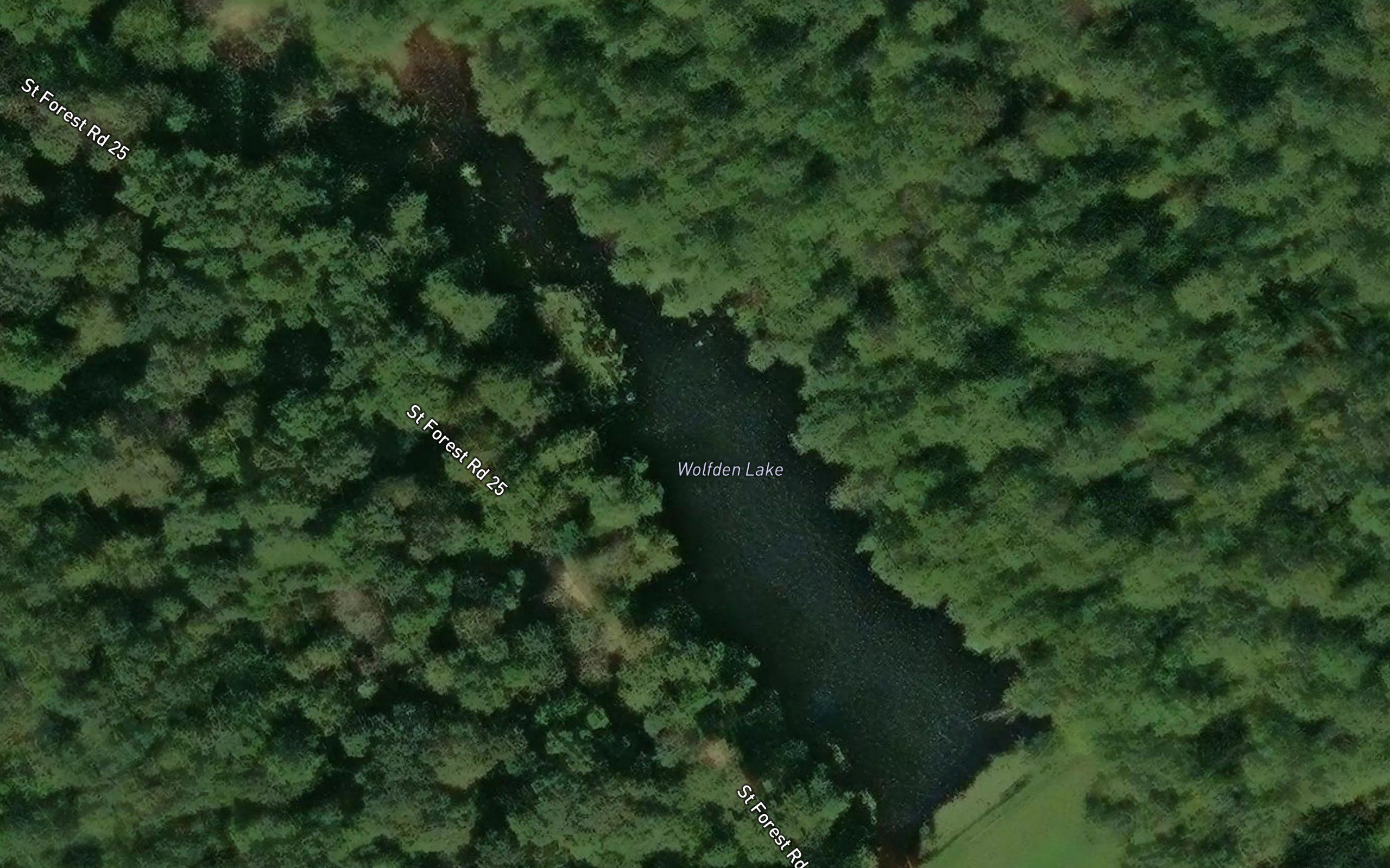 Wolfden Lake