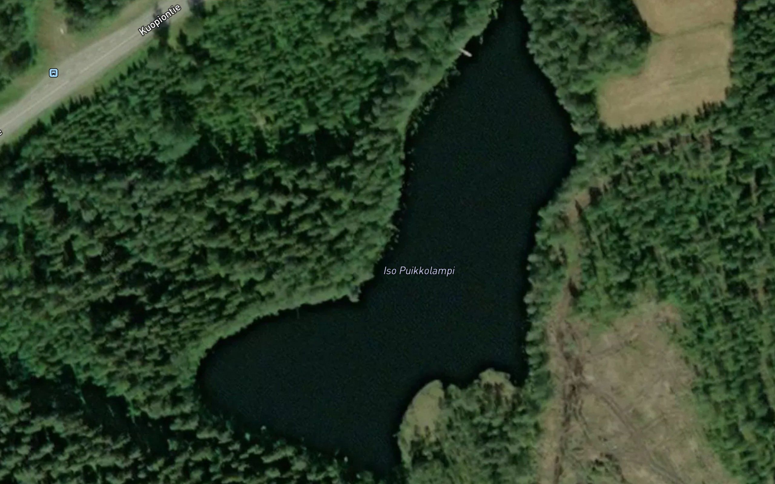 Iso Puikkolampi
