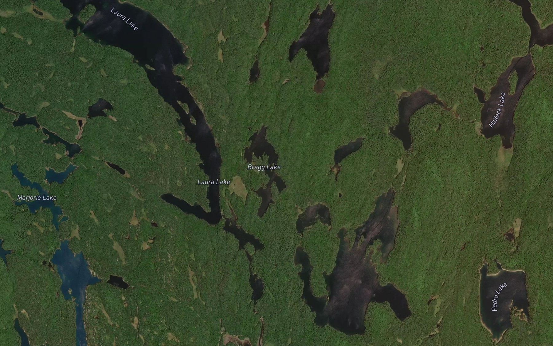 Satellite map of the Bragg Lake