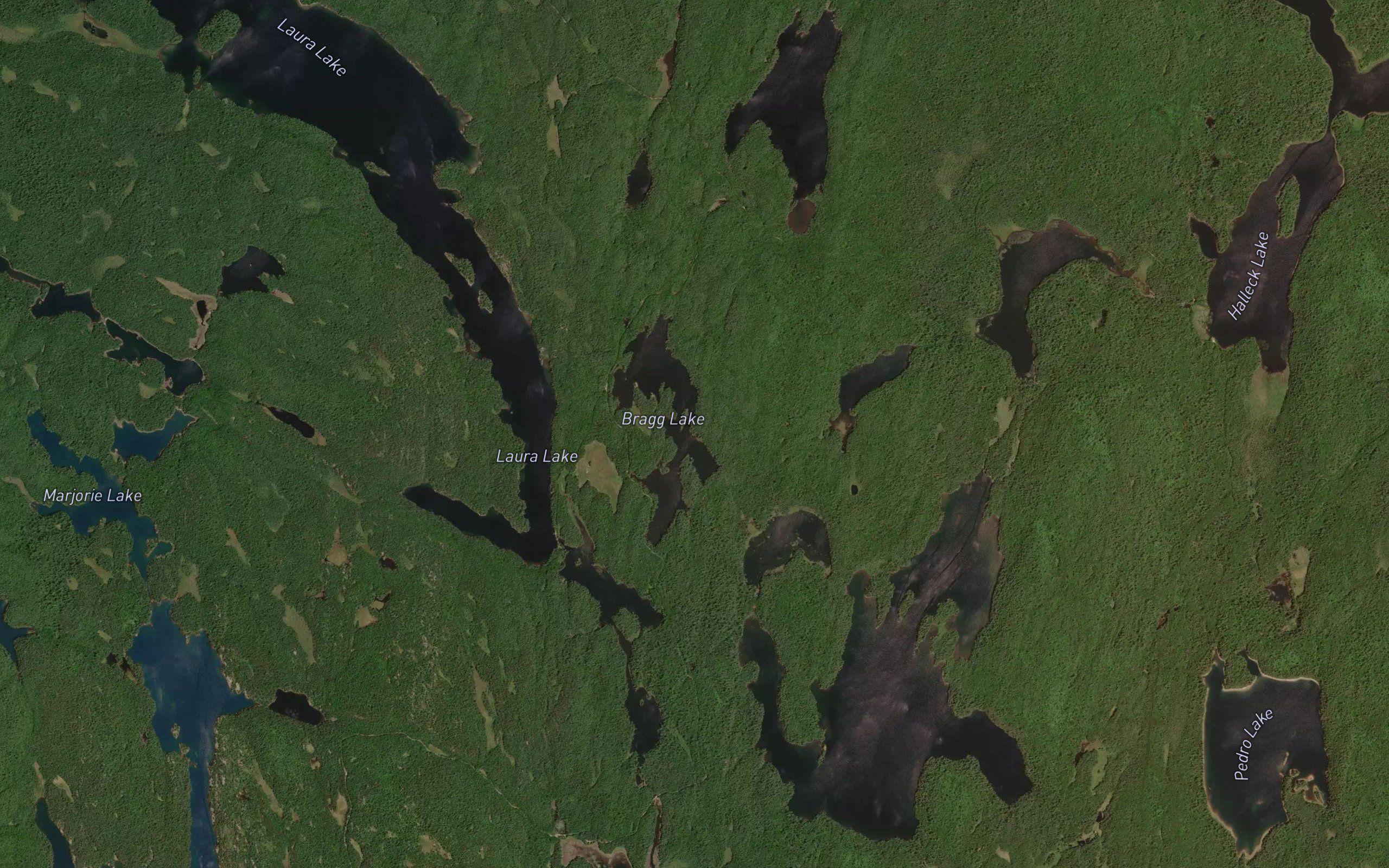 Bragg Lake