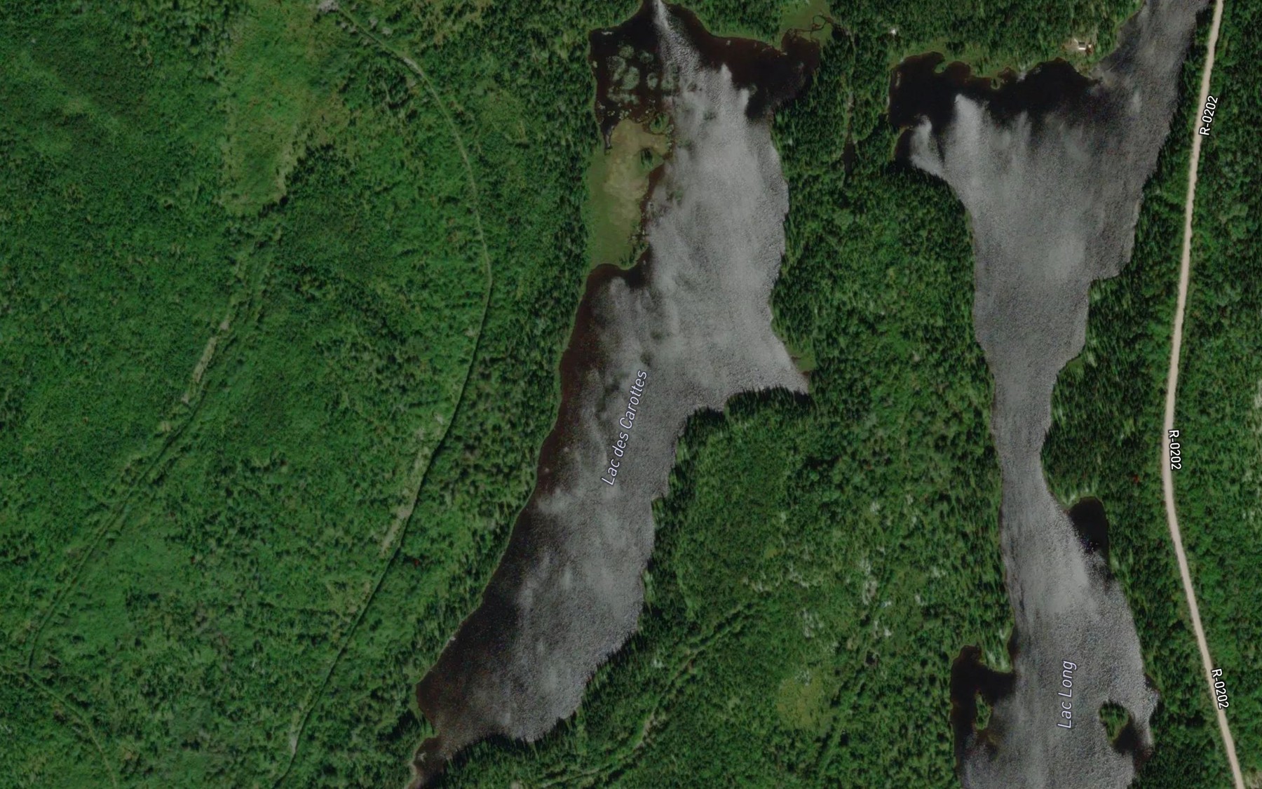 Satellite map of the Lac des Carottes
