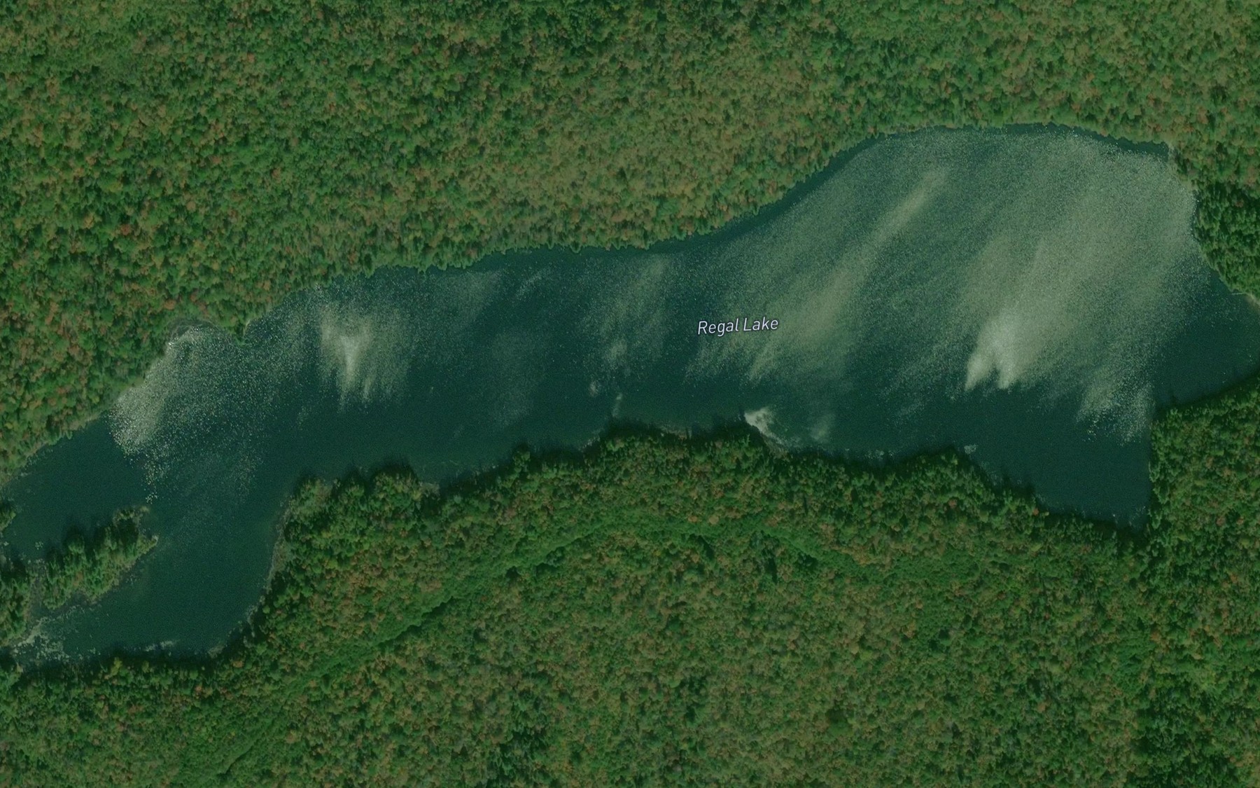 Satellite map of the Regal Lake