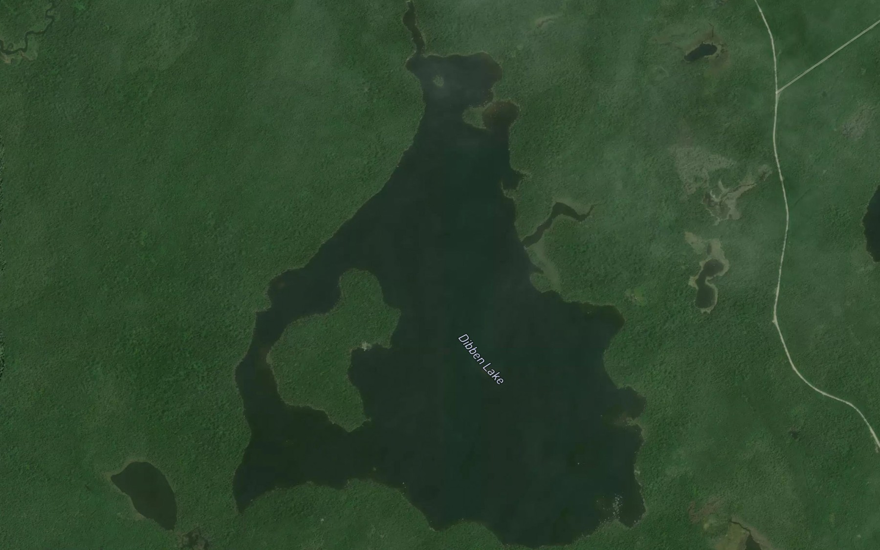 Satellite map of the Dibben Lake