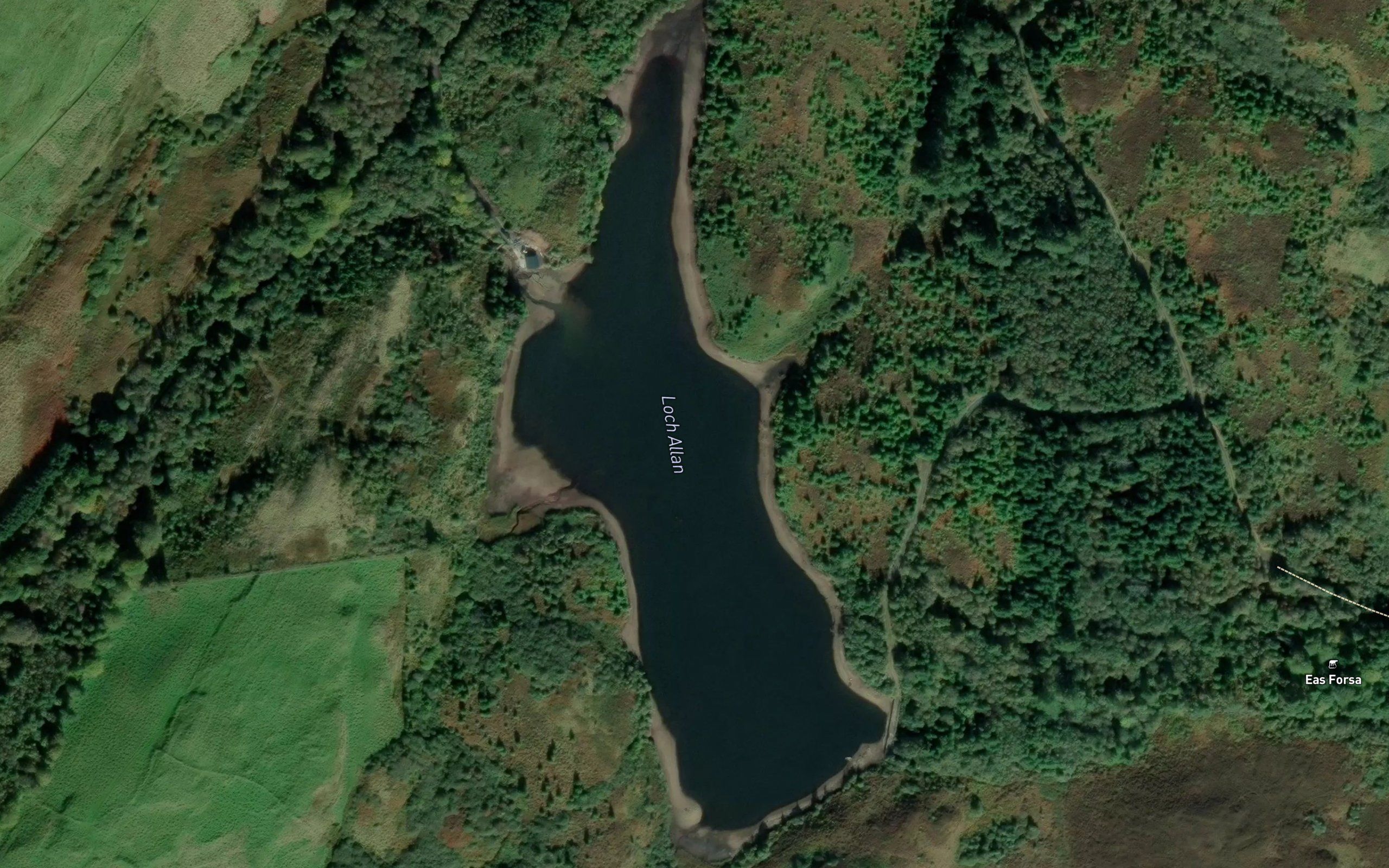 Loch Allan