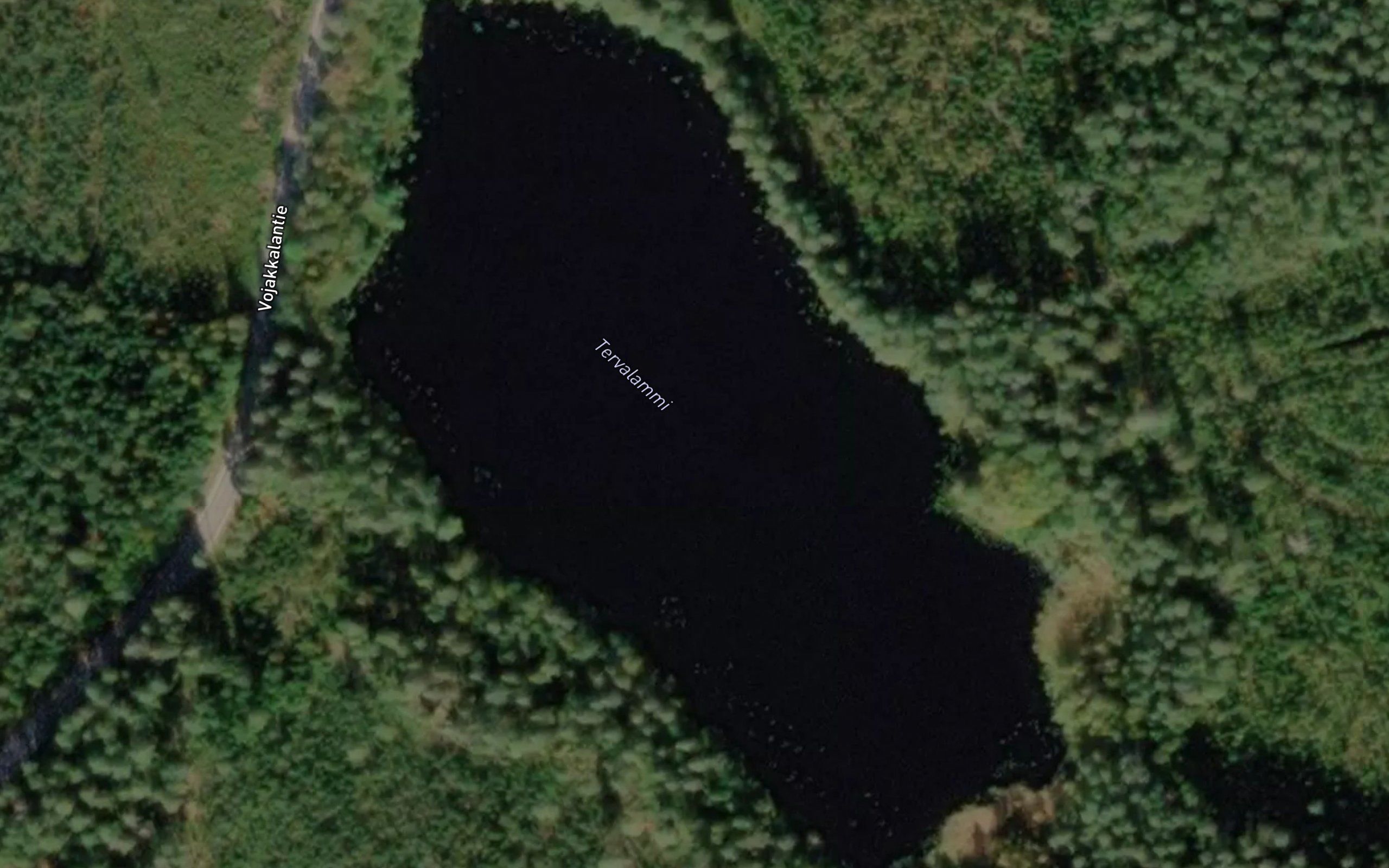 Tervalammi