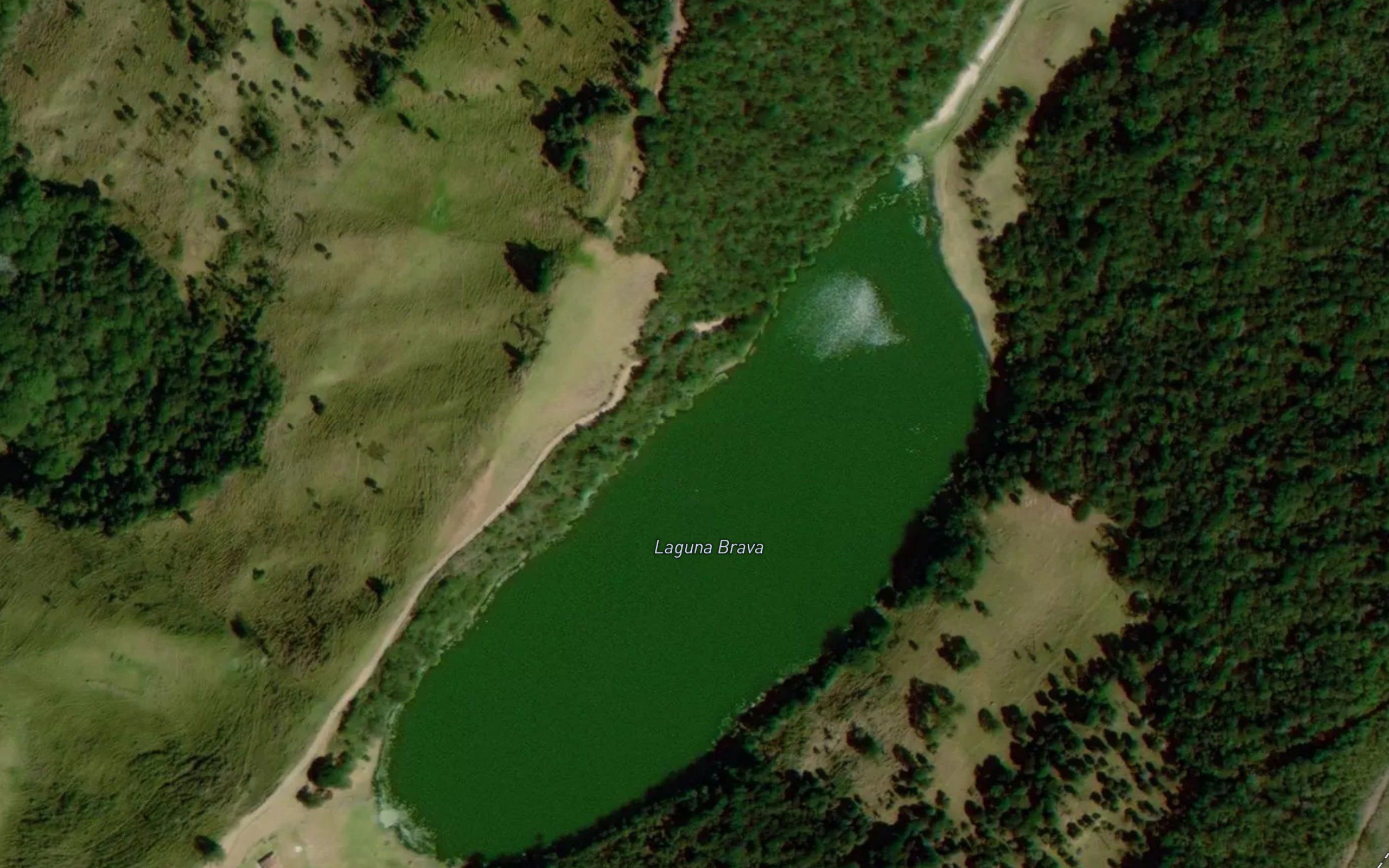 Laguna Brava
