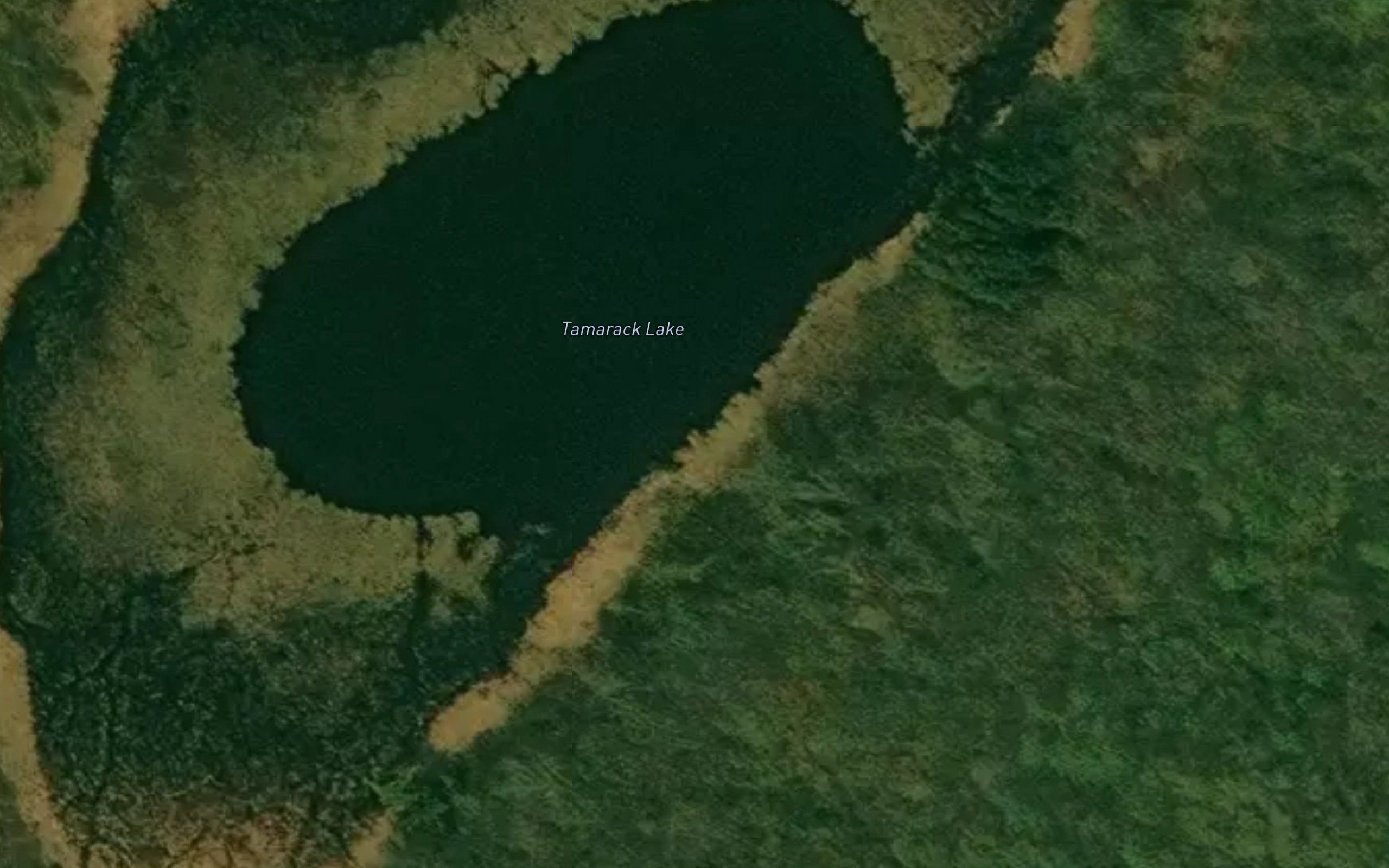 Tamarack Lake