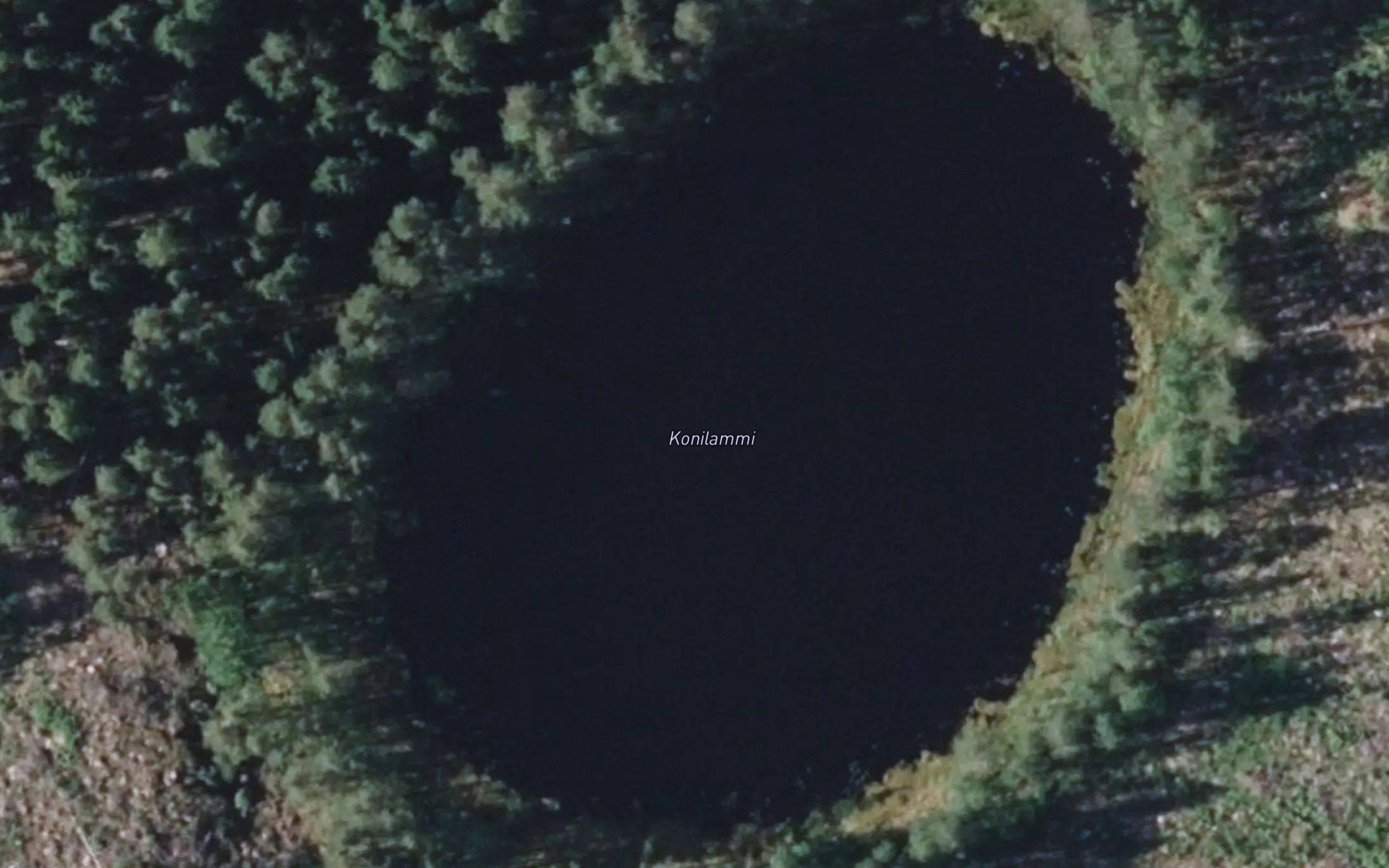 Konilammi
