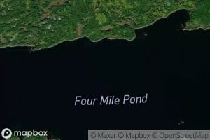 Four Mile Pond