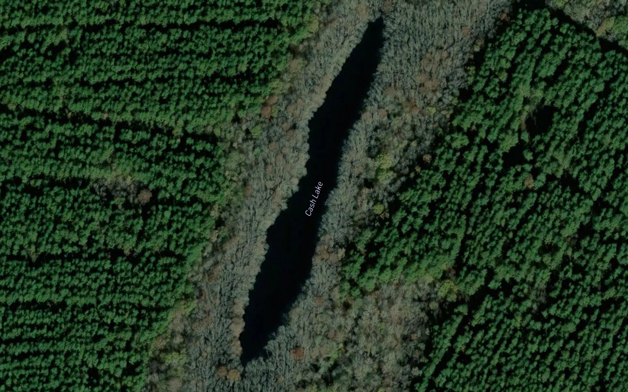Cash Lake