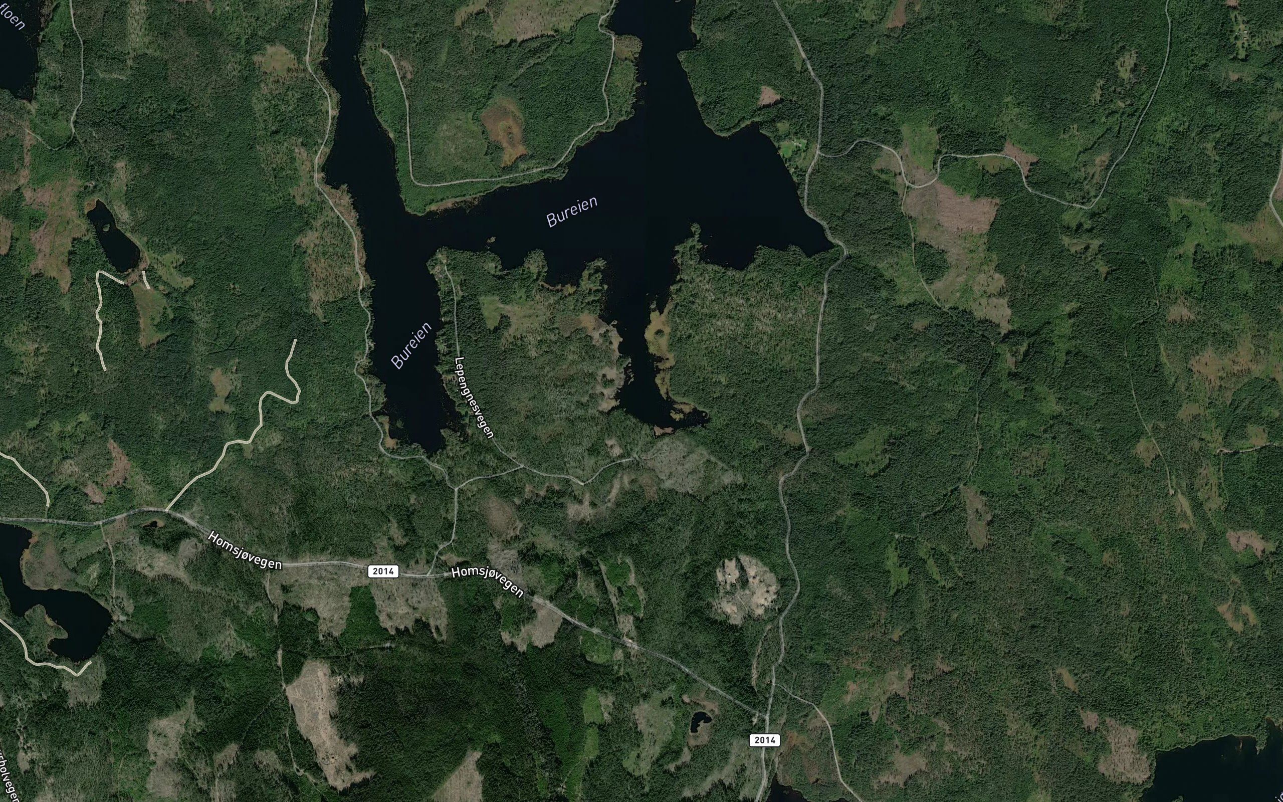 Bureistjernet