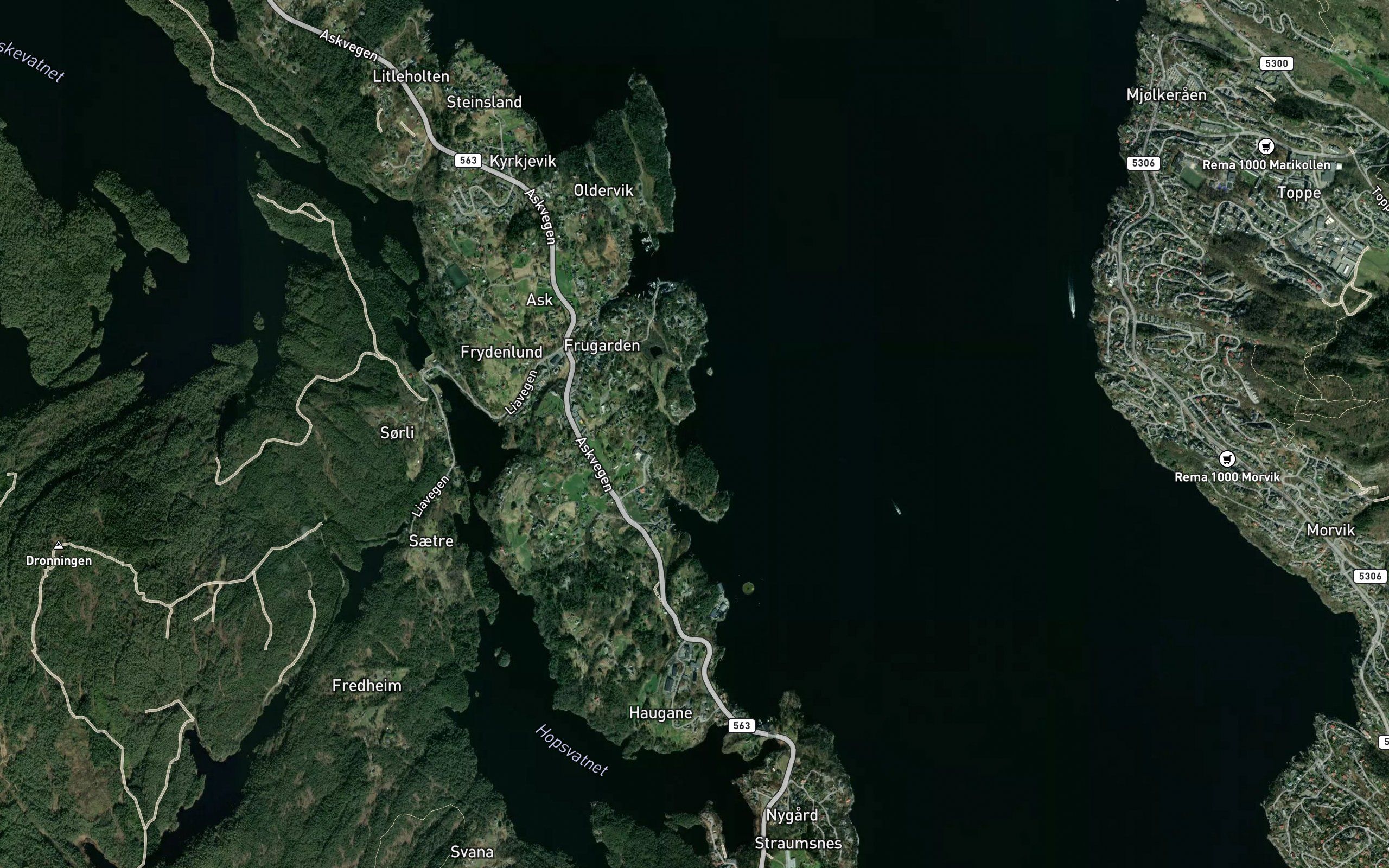 Juvika