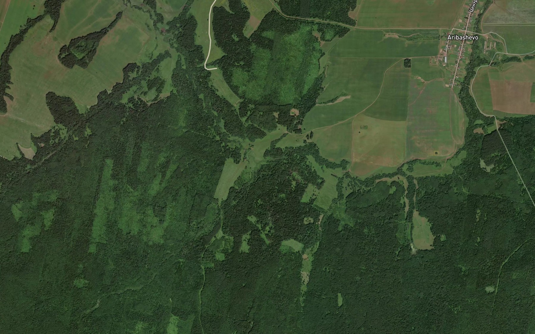Satellite map of the Zuayelga