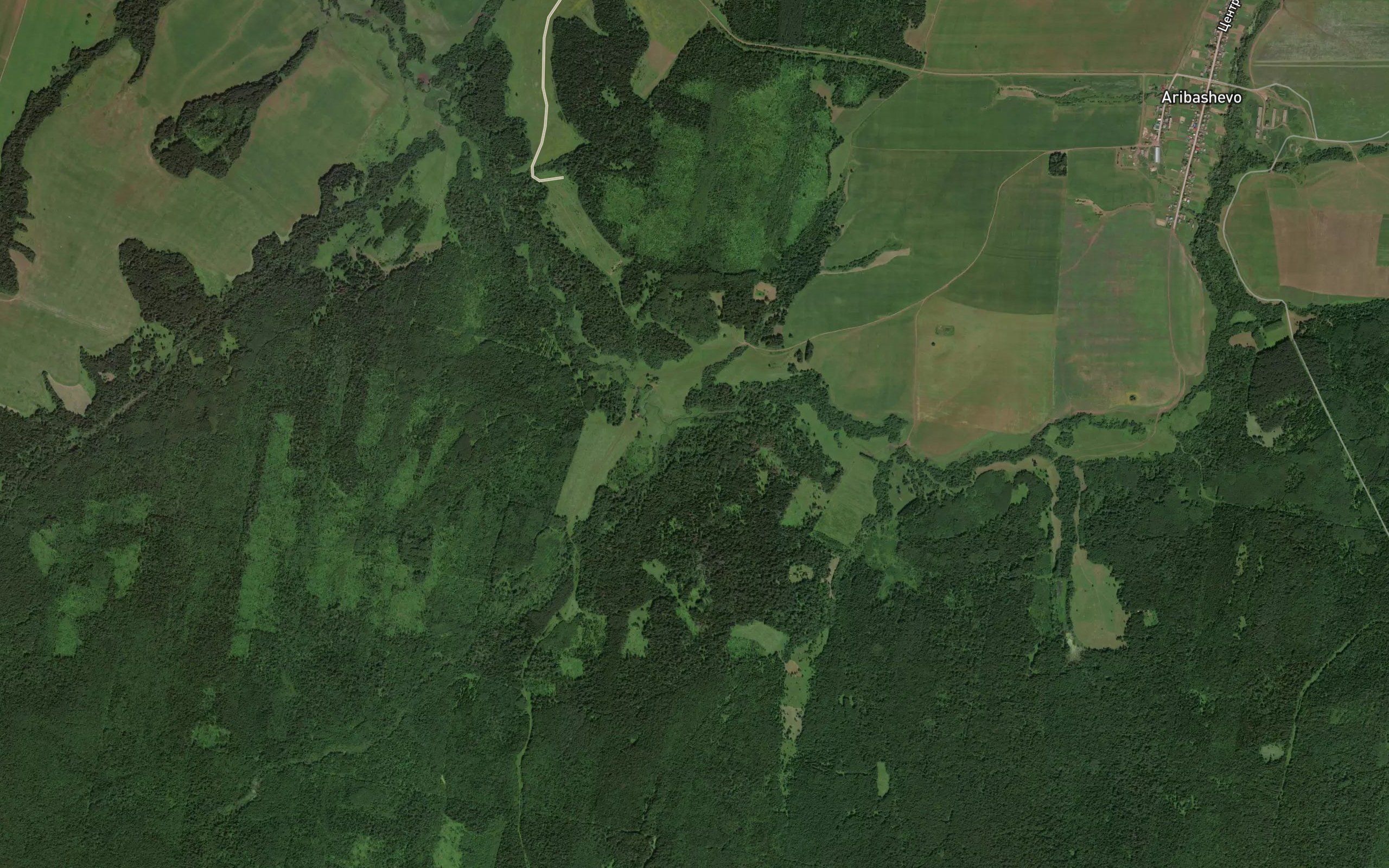 Zuayelga