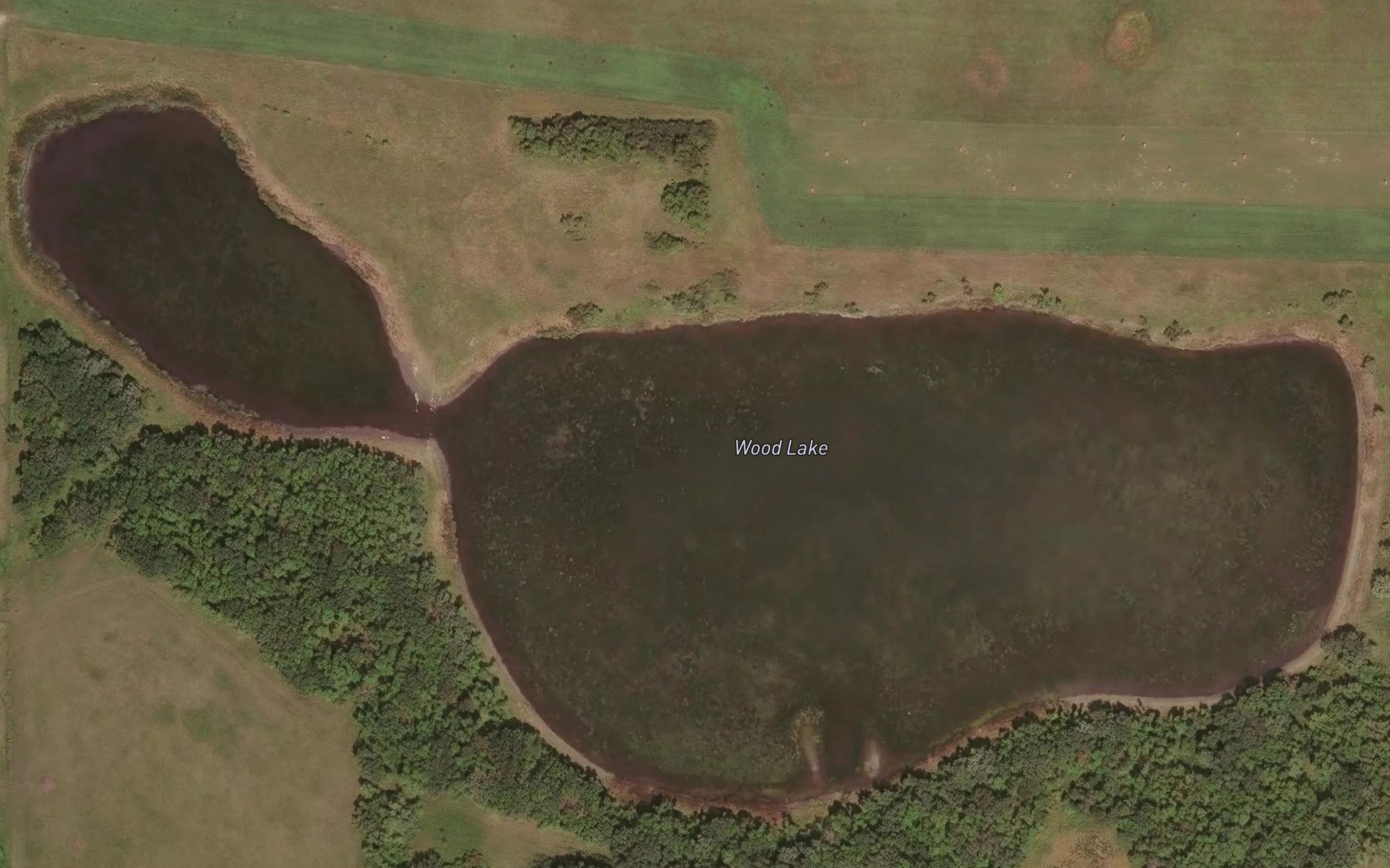 Satellite map of the Wood Lake