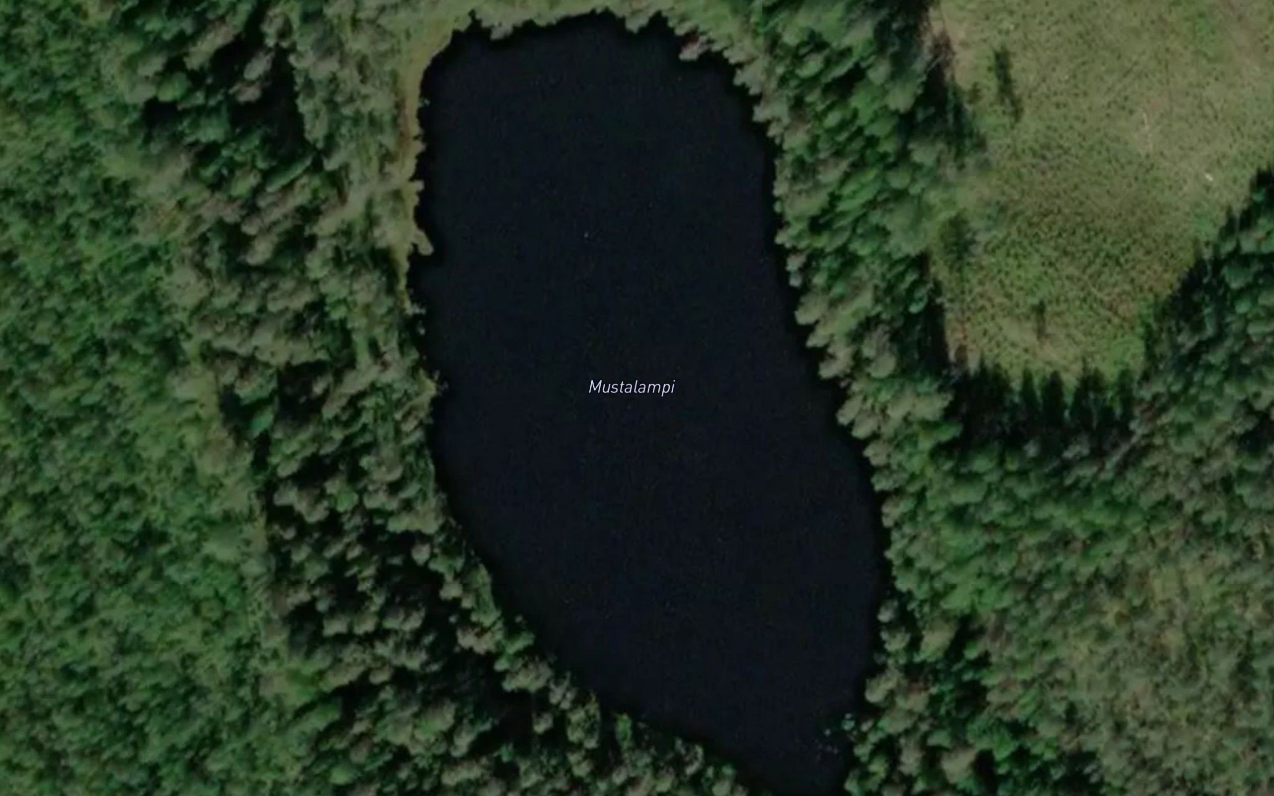 Mustalampi