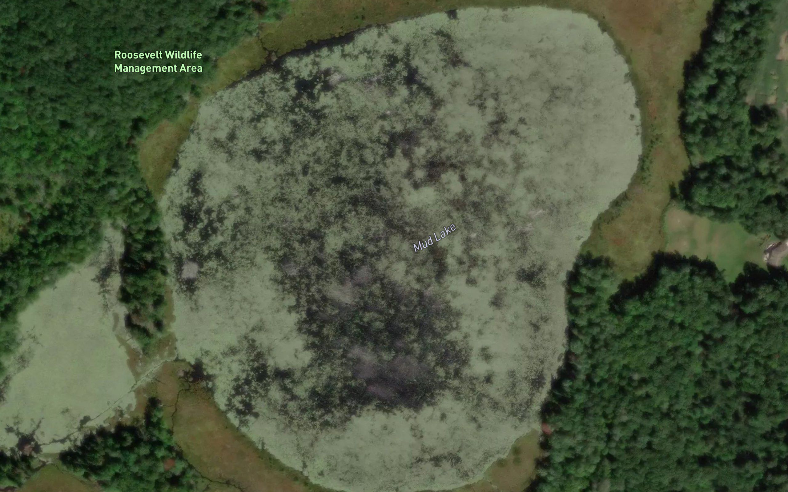 Mud Lake