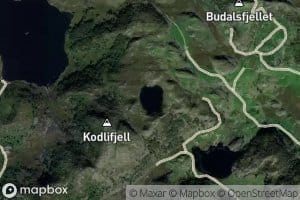 Rotatjorn