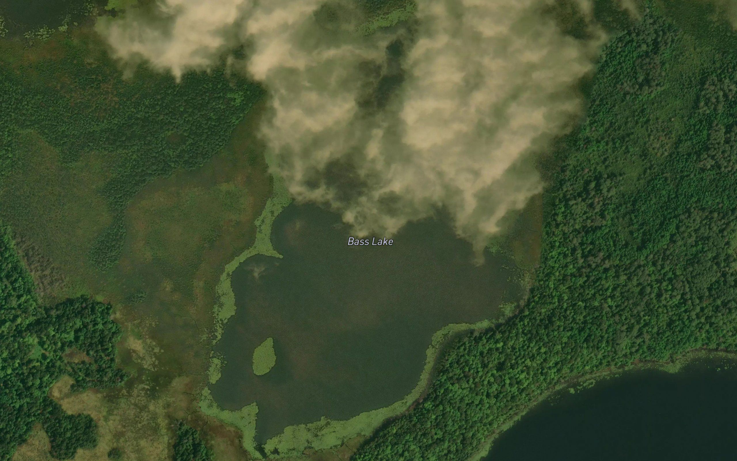 Bass Lake
