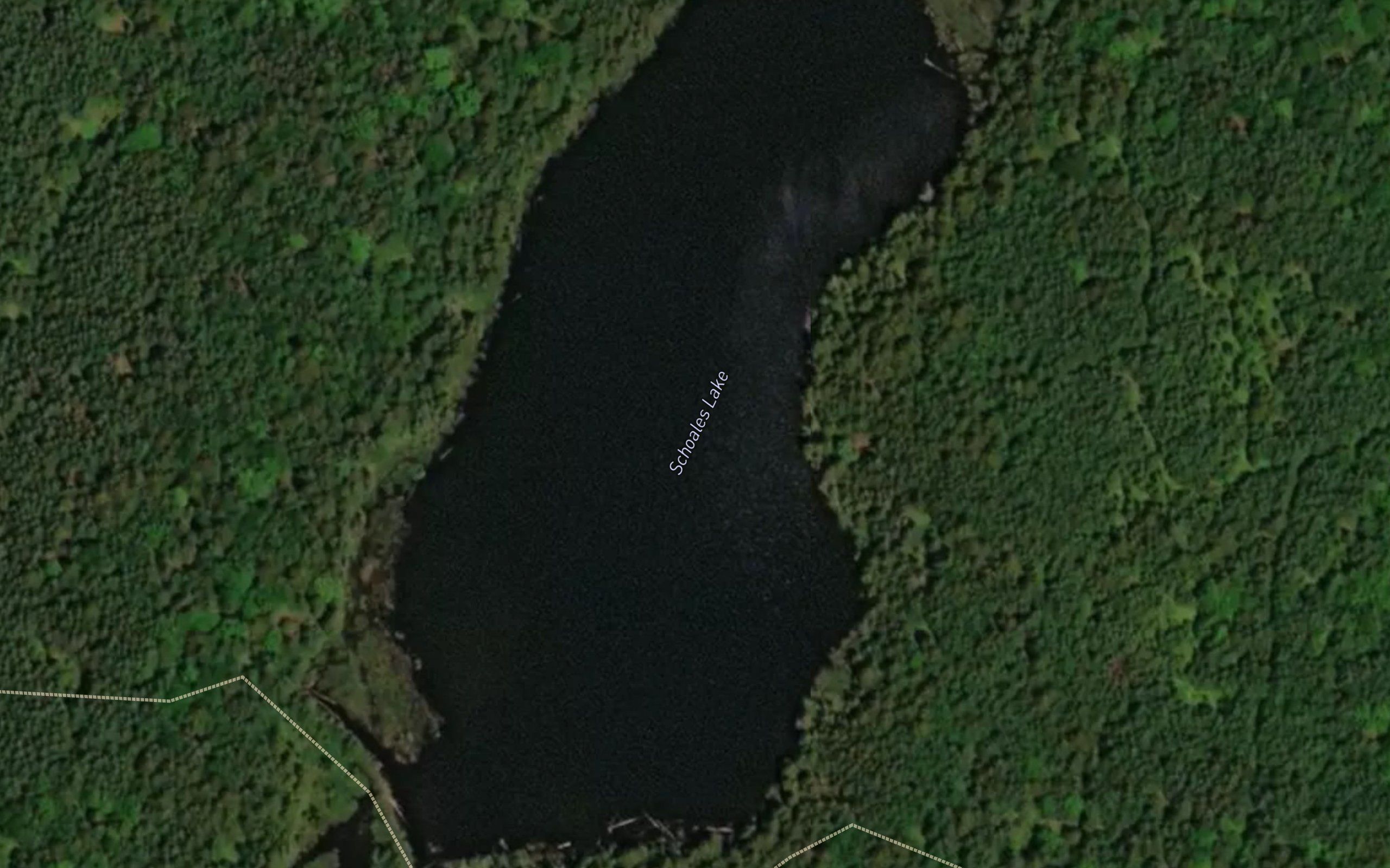 Schoales Lake