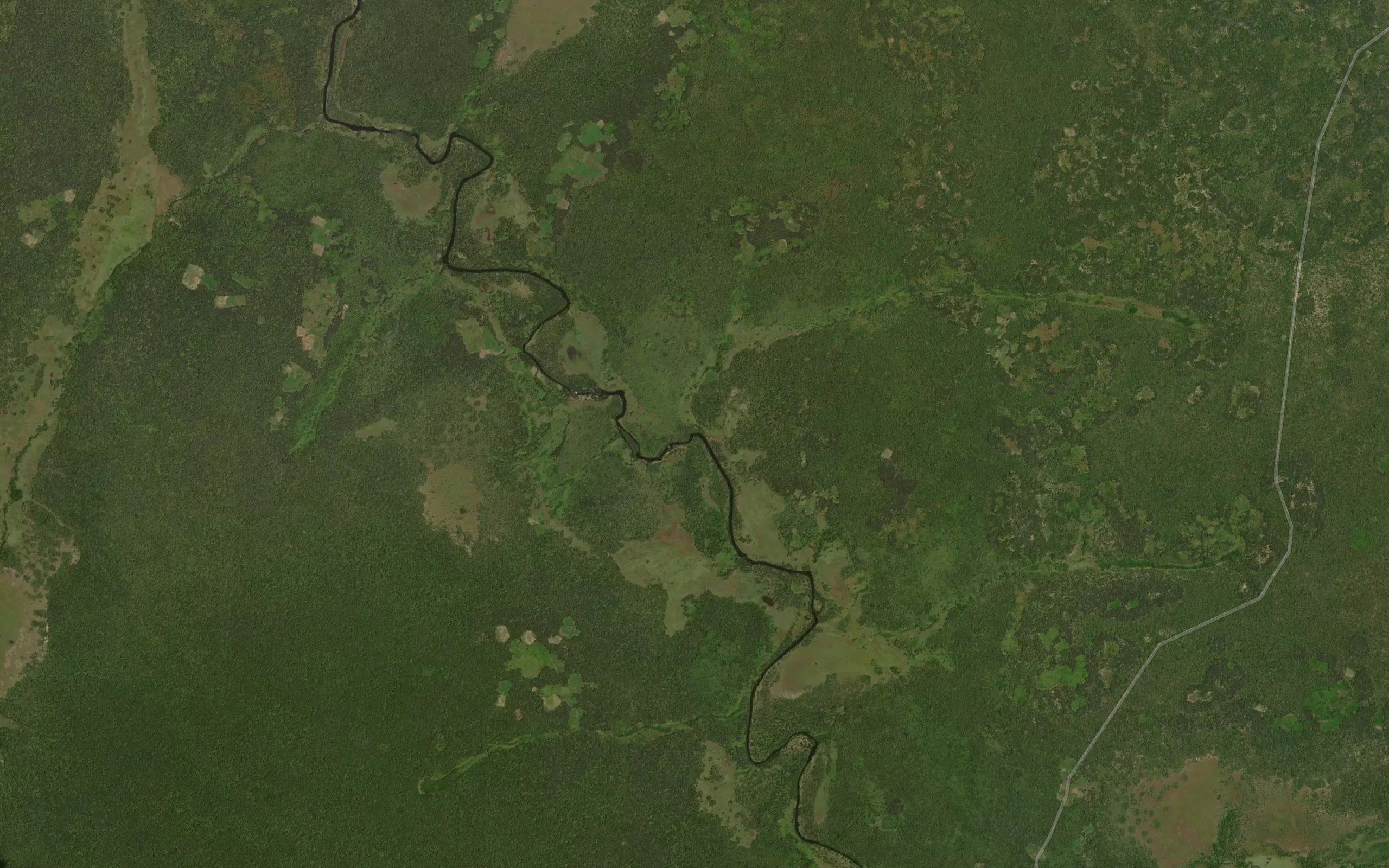 Kadua