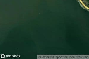 Hyllbukta