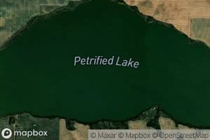 Petrified Lake