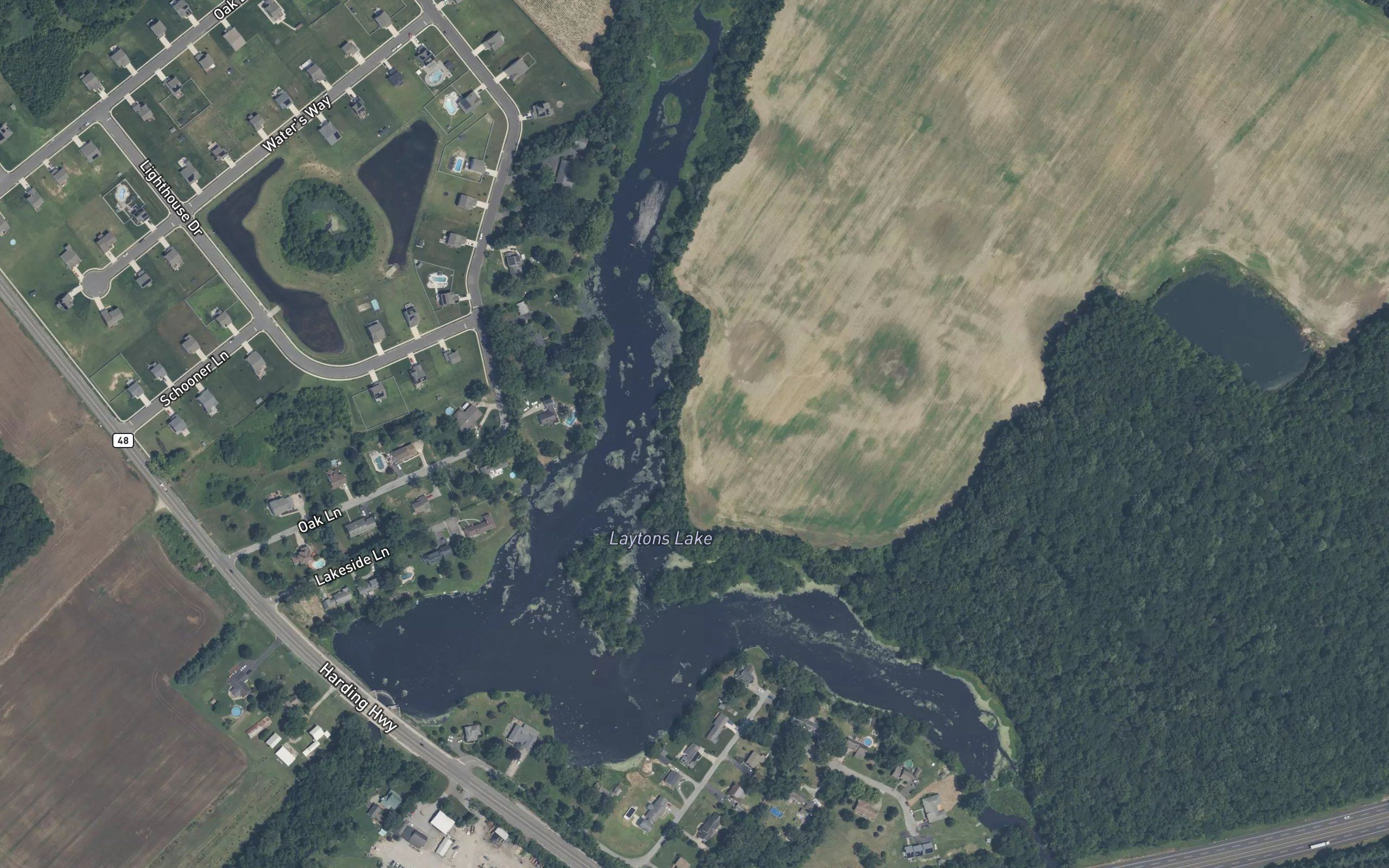 Laytons Lake