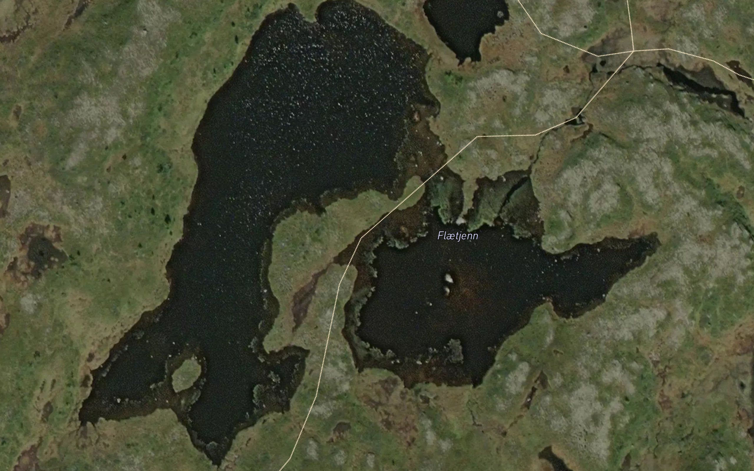 Flaetjern