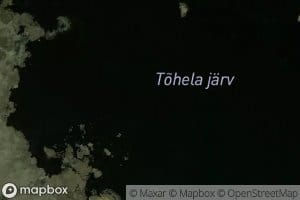 Tohela Jarv