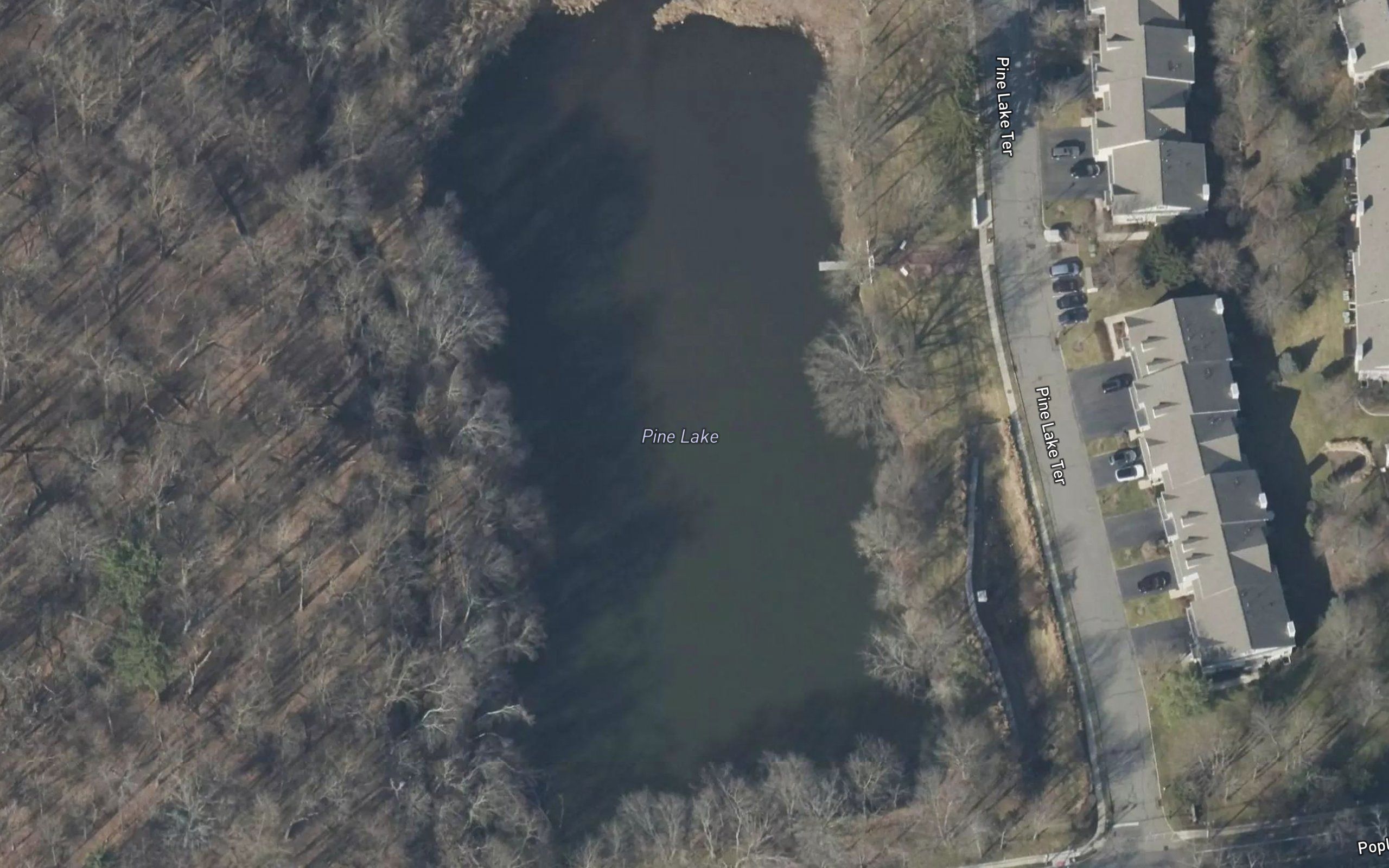 Pine Lake