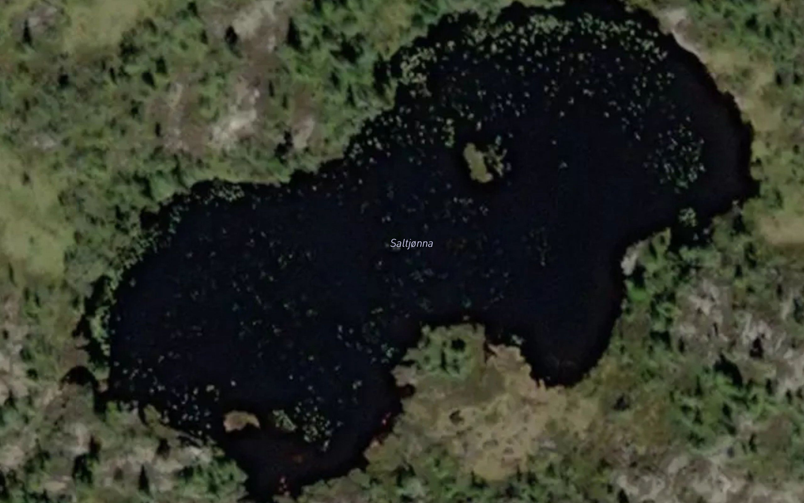 Saltjorn