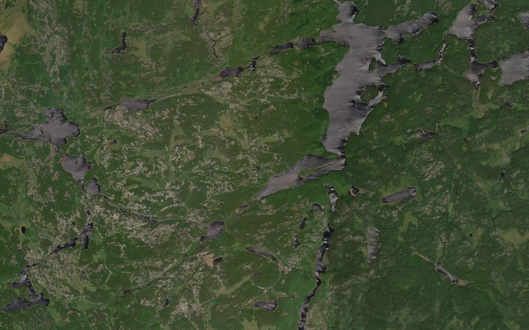 Satellite map of the Blueboy Creek