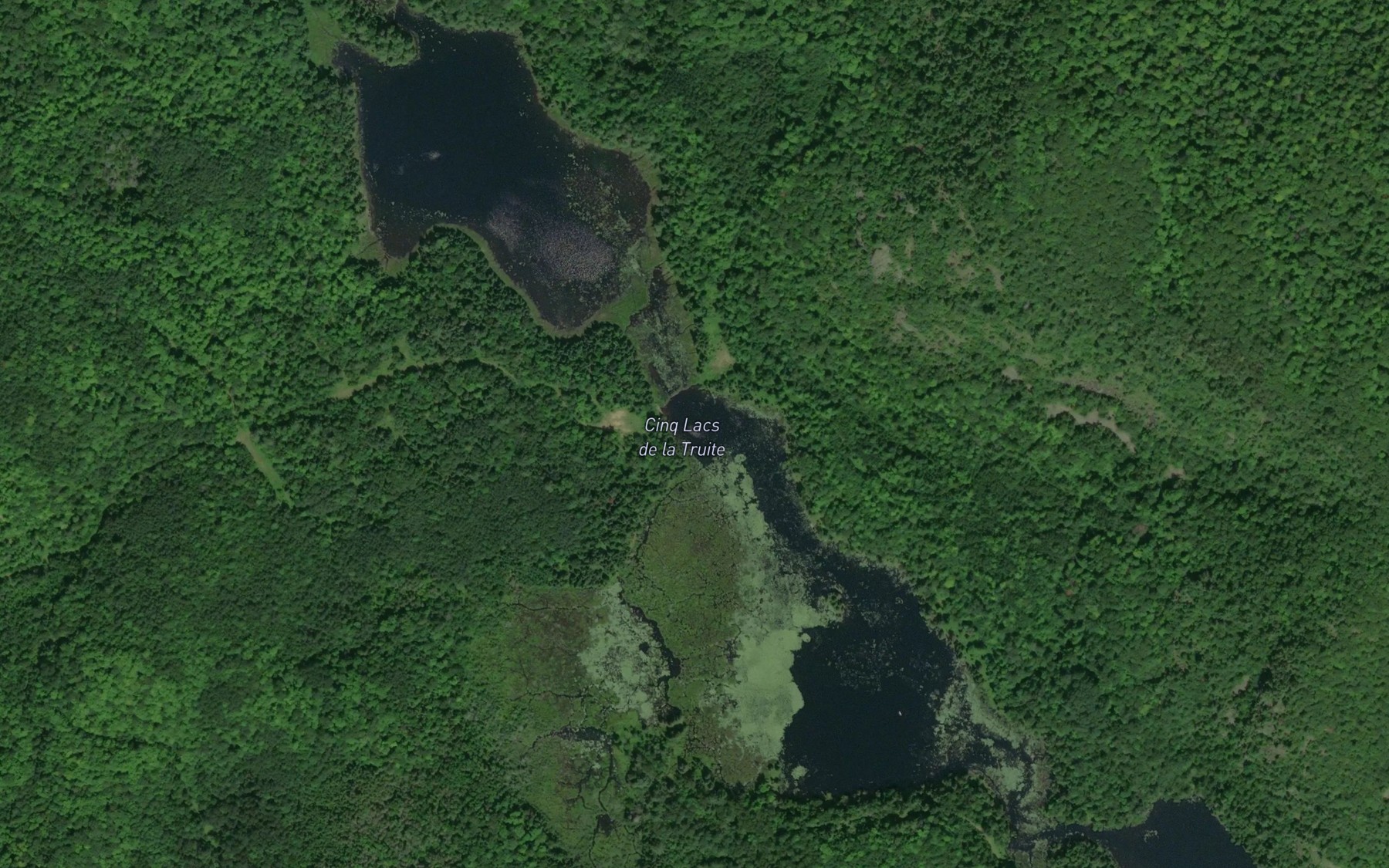 Satellite map of the Cinq lacs a la Truite