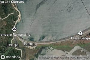 Caleta Lenga