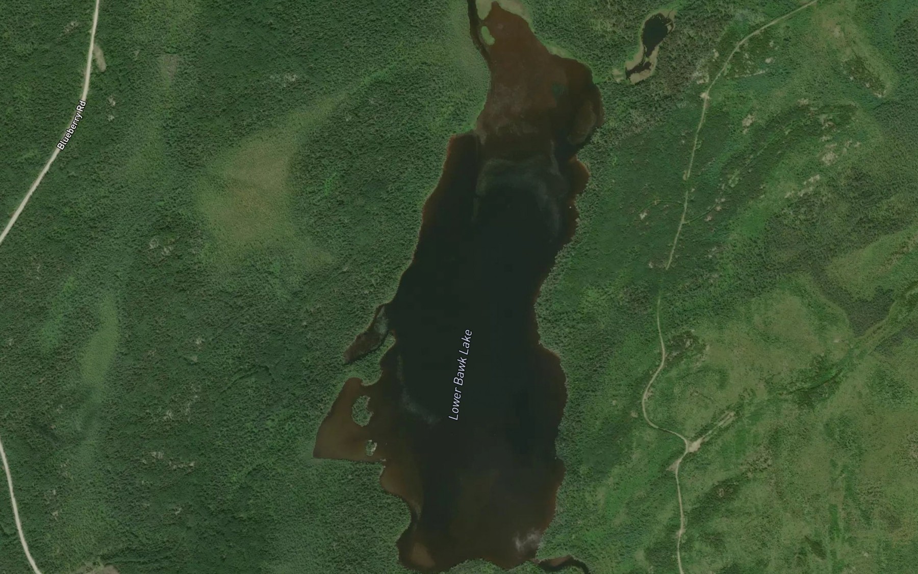 Satellite map of the Lower Bawk Lake