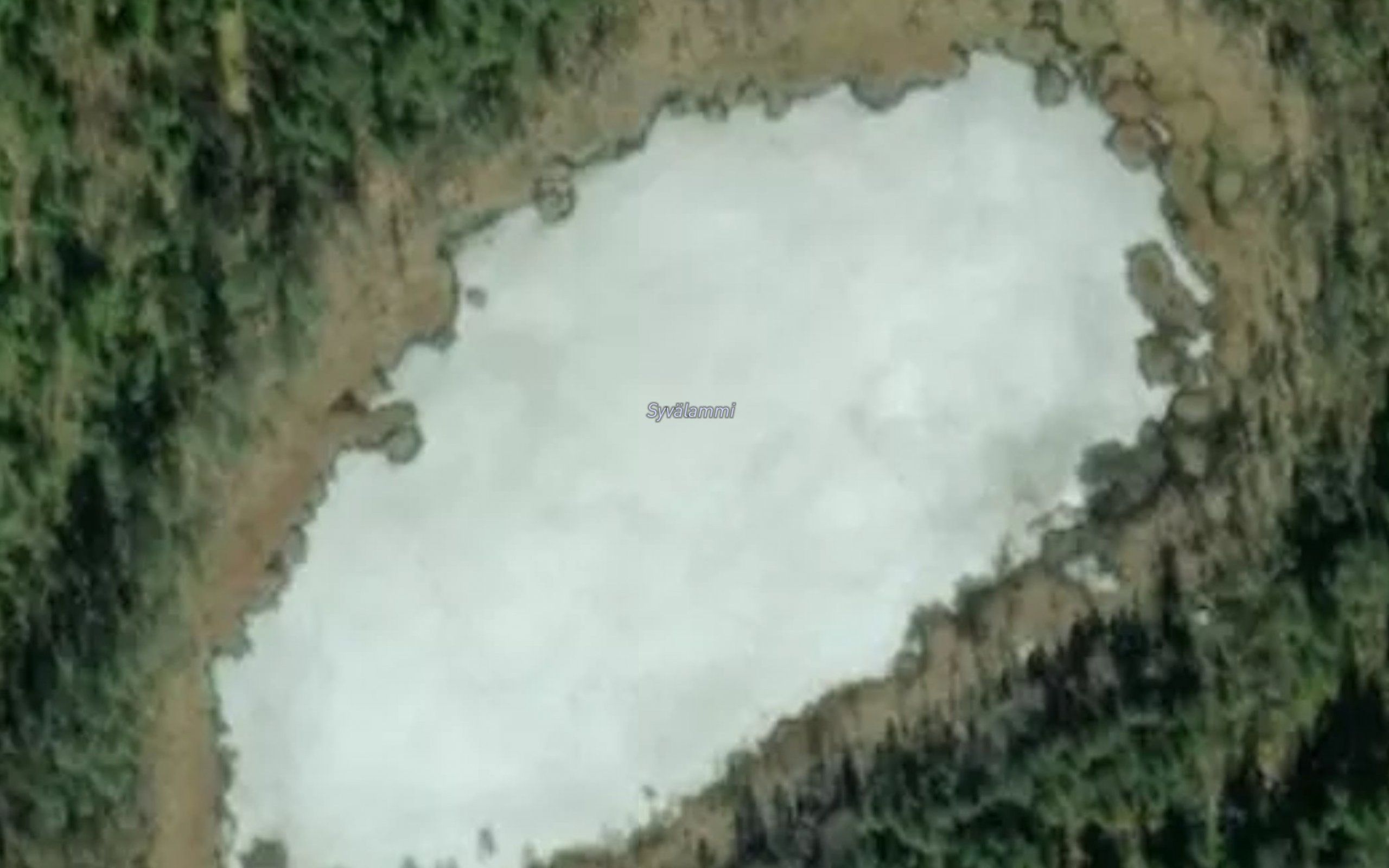 Syvalammi