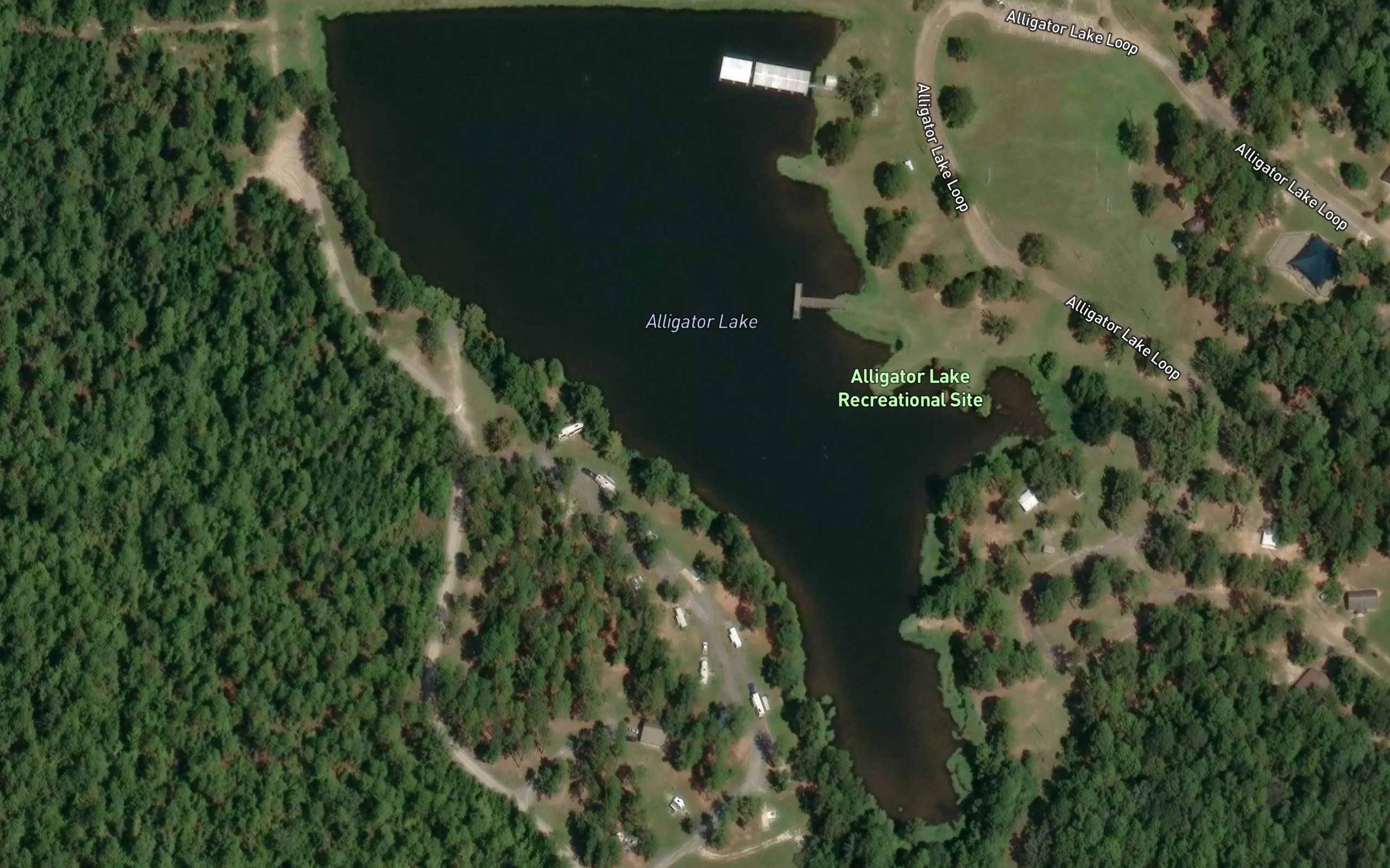 Alligator Lake