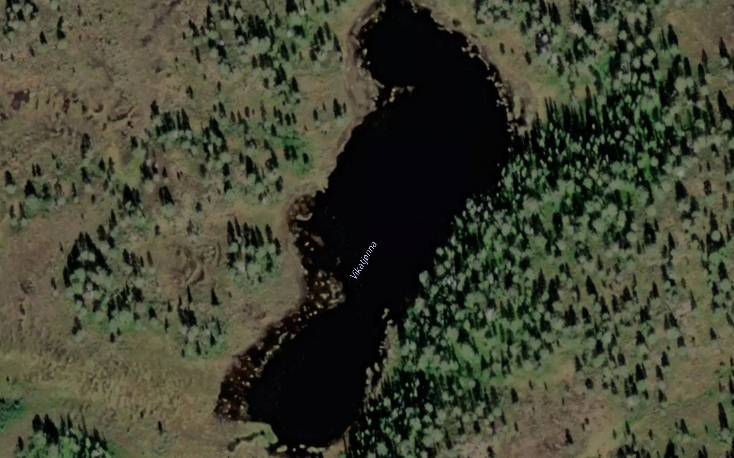 Vikatjorna