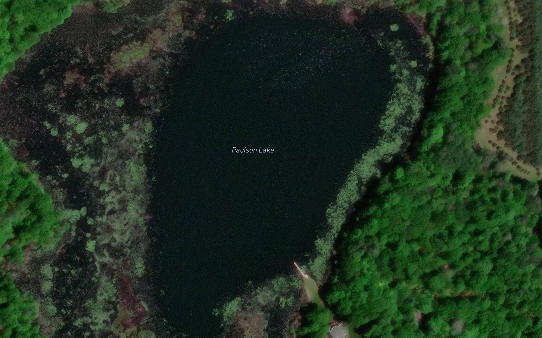 Satellite map of the Paulson Lake