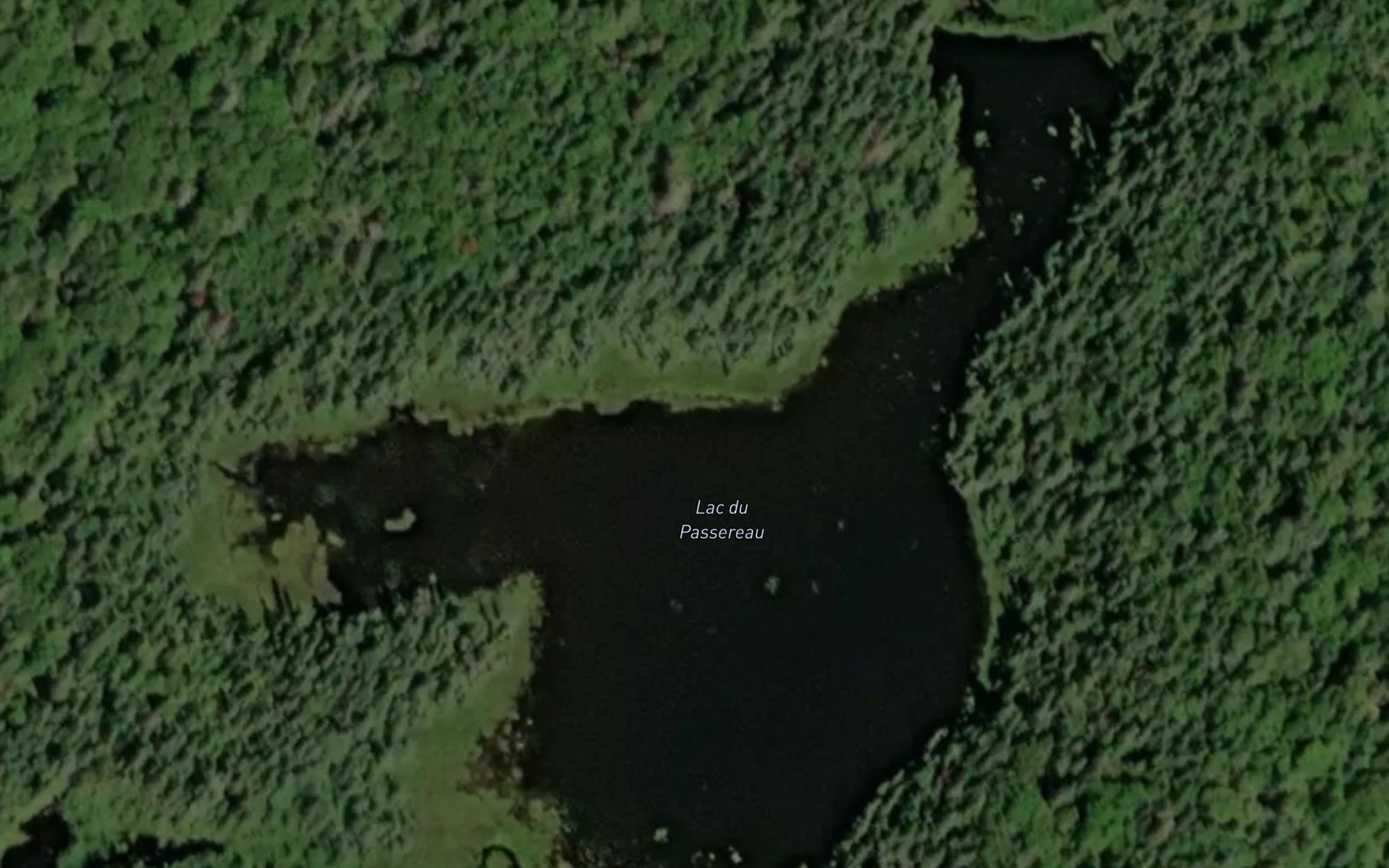 Satellite map of the Lac du Passereau