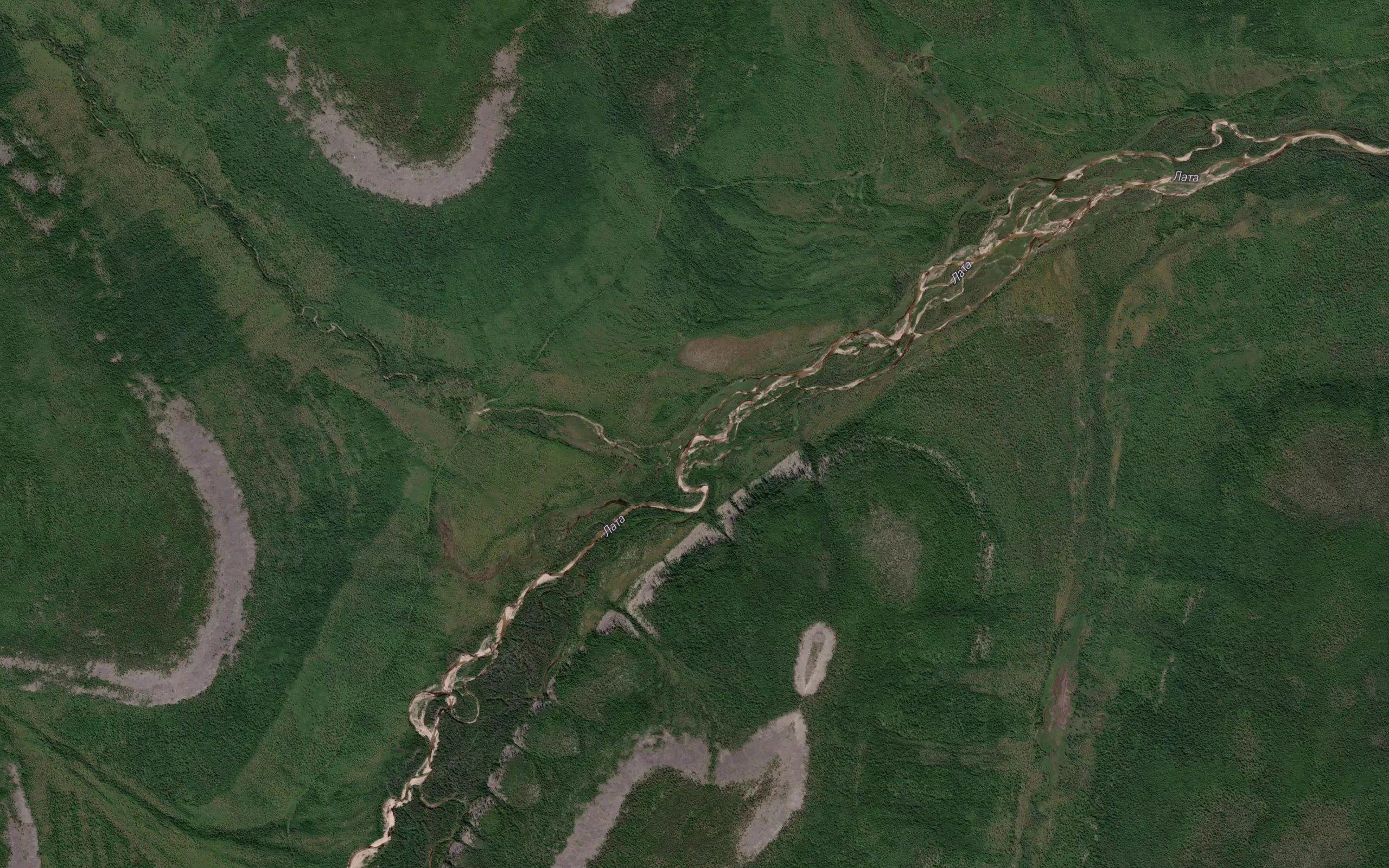 Latalyr